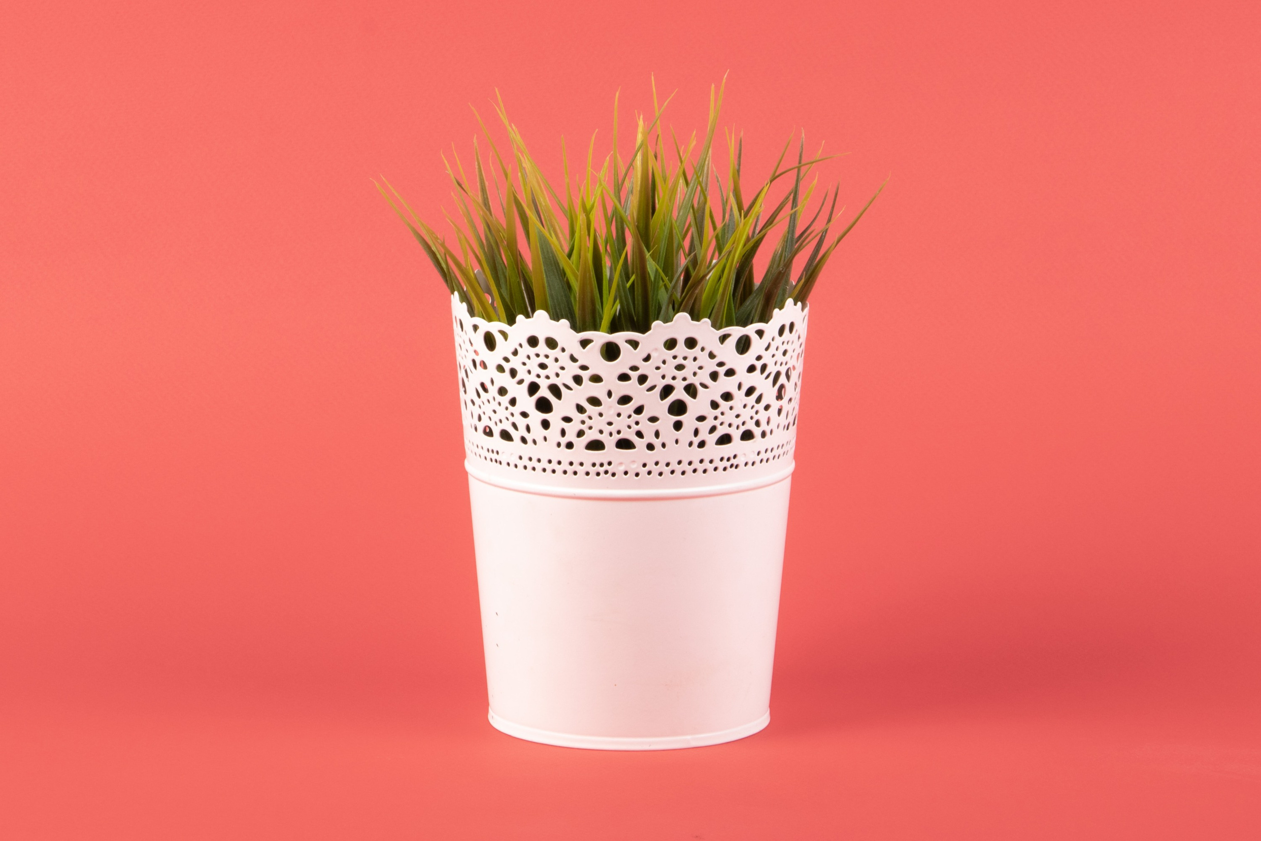 Leclerc studio. Leclerc-studio