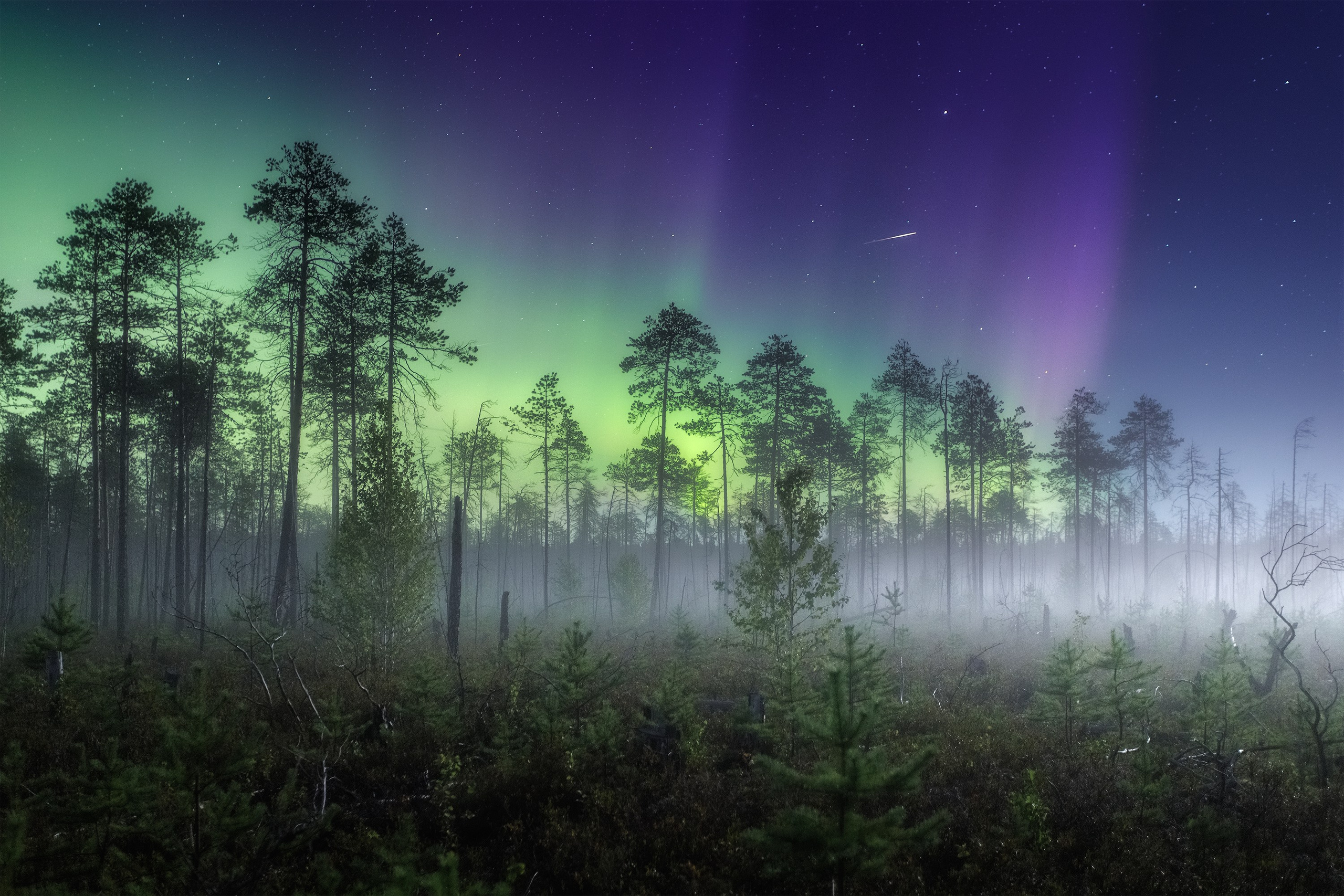Моя фотография в Новой Третьяковке. Профессиональный пейзажный и рекламный фотограф Чаланов Иван