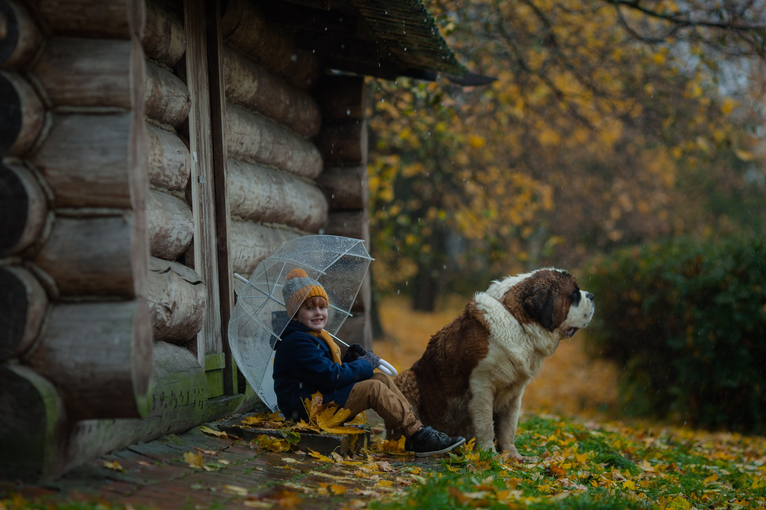 Услуги. Главная