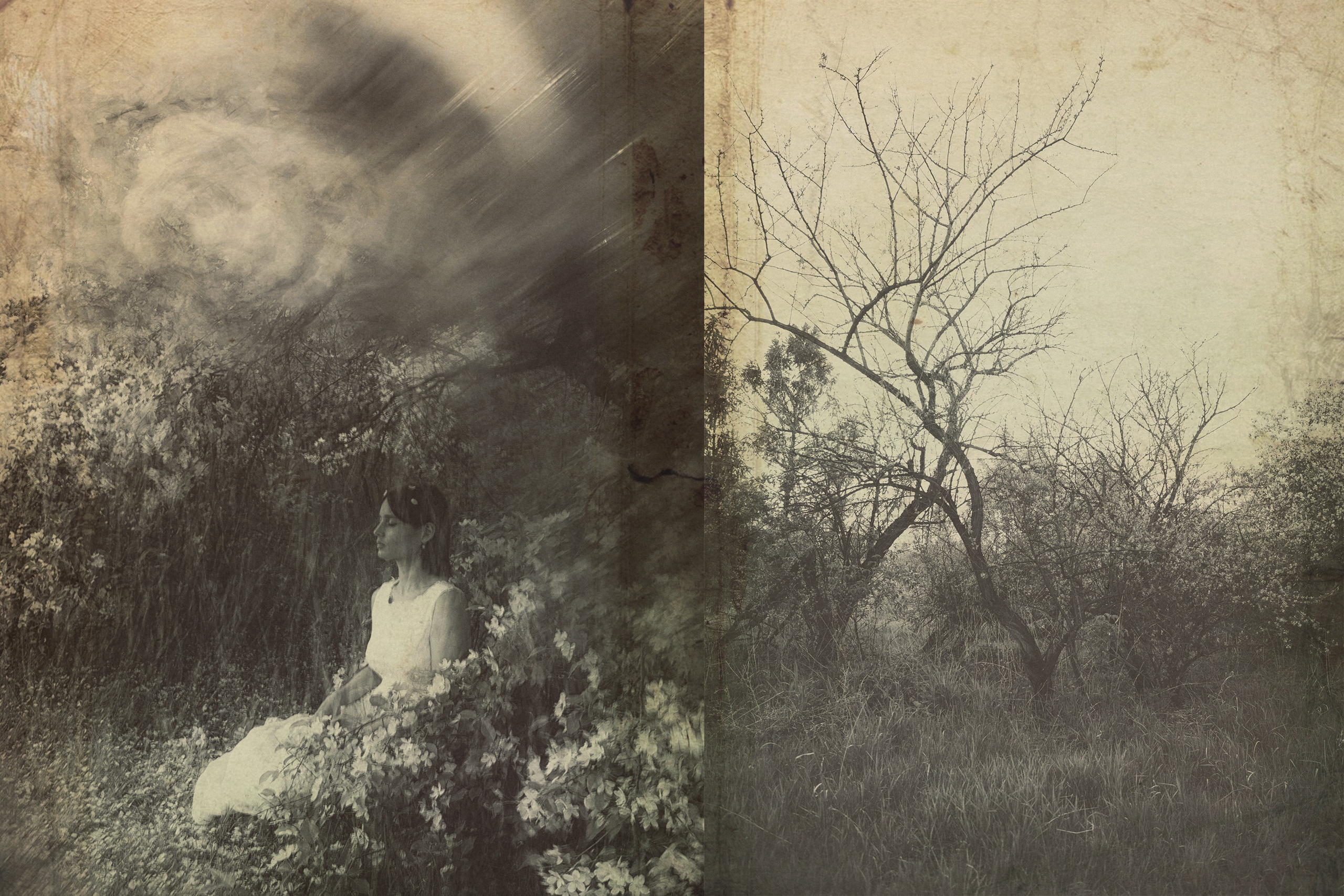 Свадебный проект «РОМЕО И ДЖУЛЬЕТТА». Фотограф в Омске Екатерина Павлова