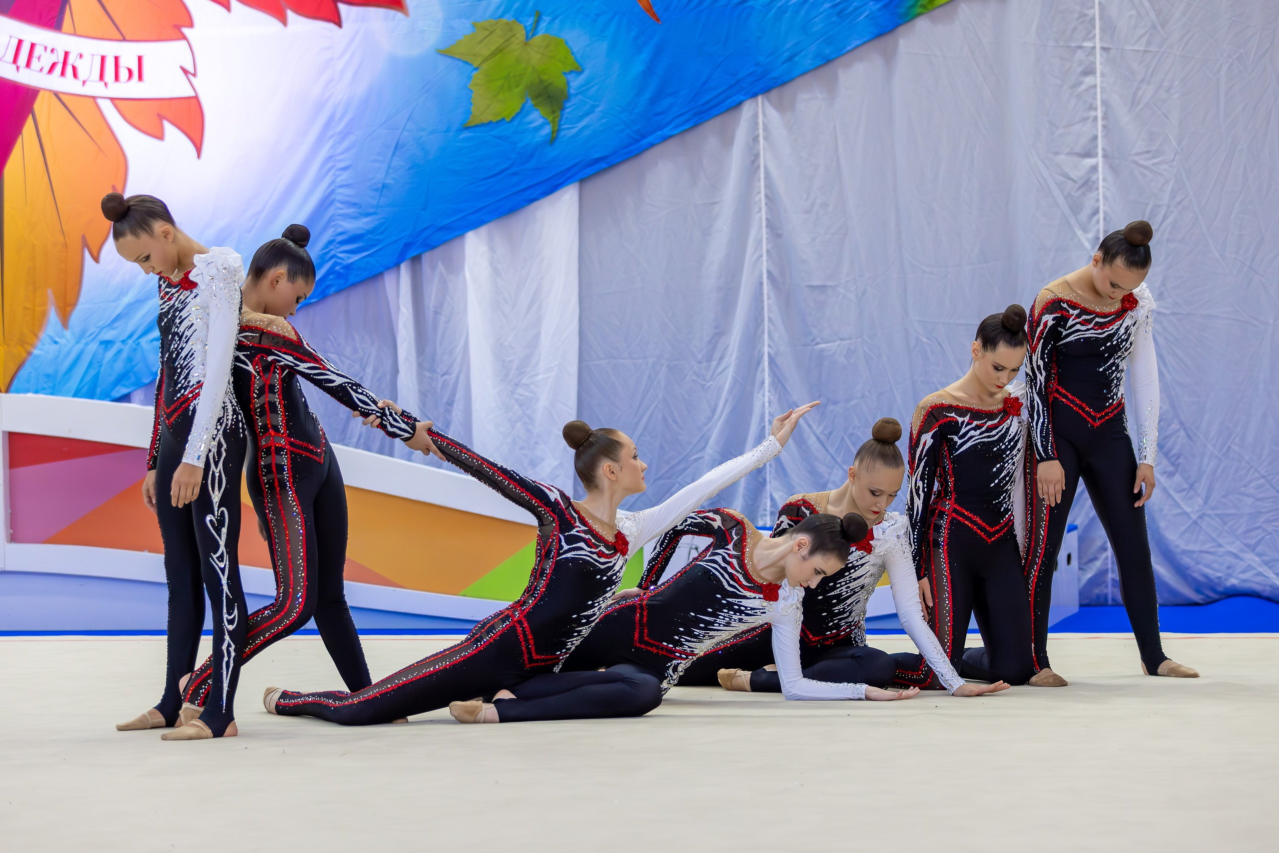 Турнир по эстетической гимнастике «КУБОК НАДЕЖДЫ». GYM-PHOTO. Sports in the frame