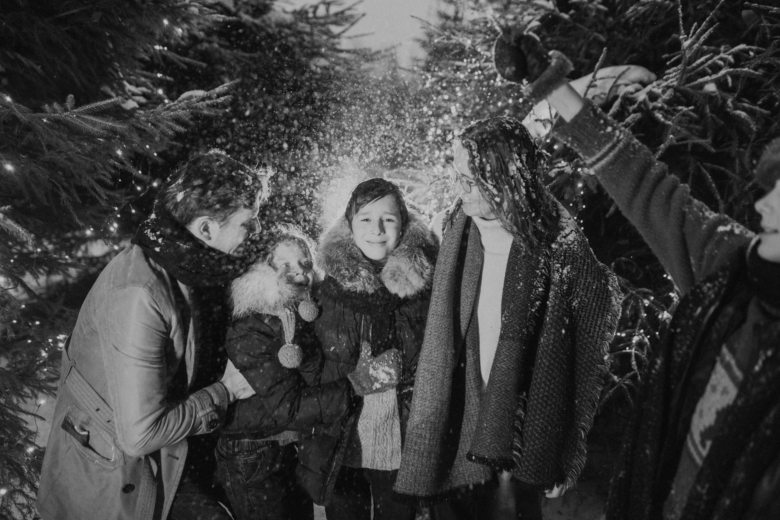 Условия и цены. Семейный фотограф Маша Тимофеева | Москва