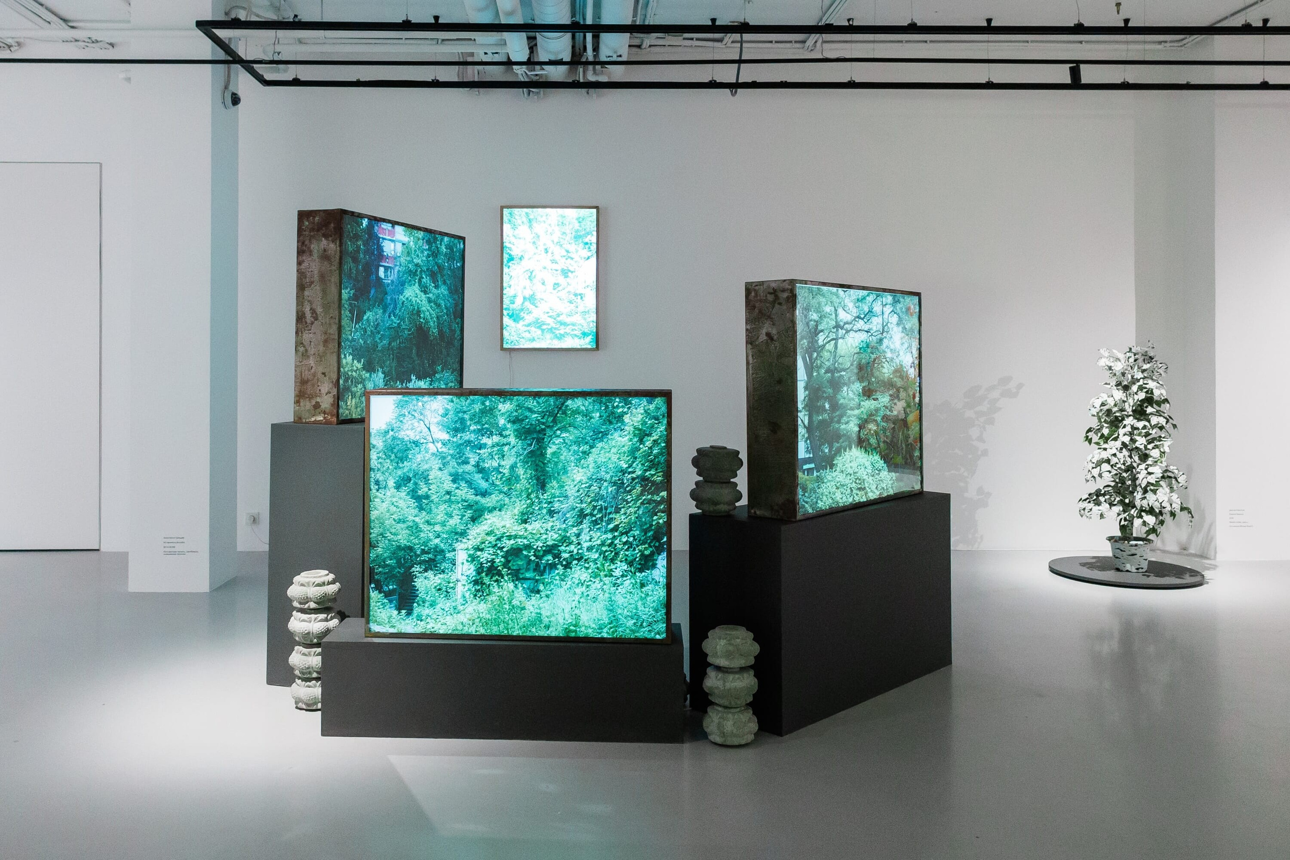 ЧЕРЕСЧУР. Anastasia Tsayder