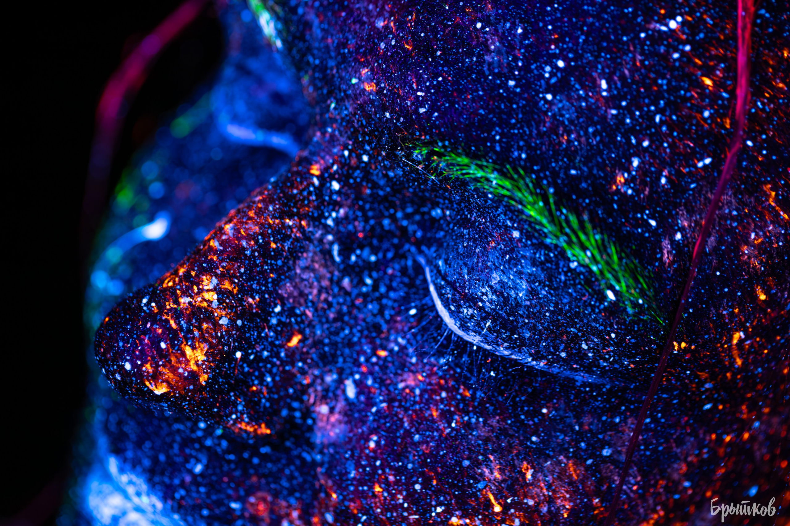 ультрафиолет женский портрет Брытков Николай