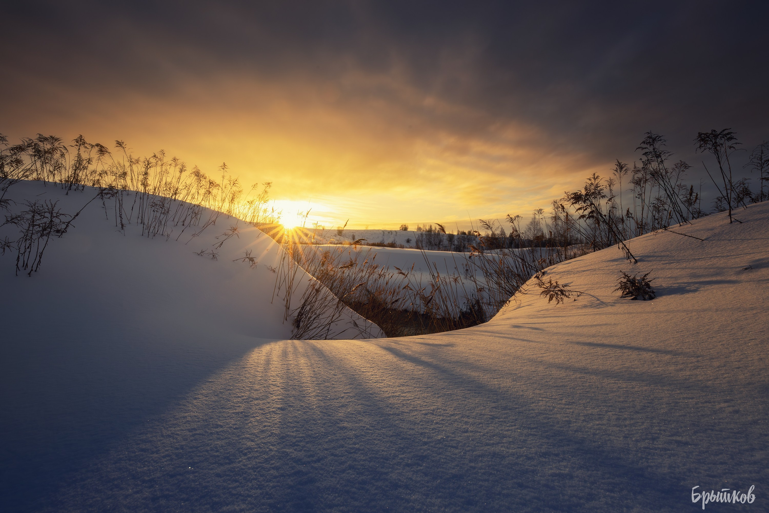Туман над р. Деготня в районе д. Малая Кожуховка. Николай Брытков — фотограф в Туле