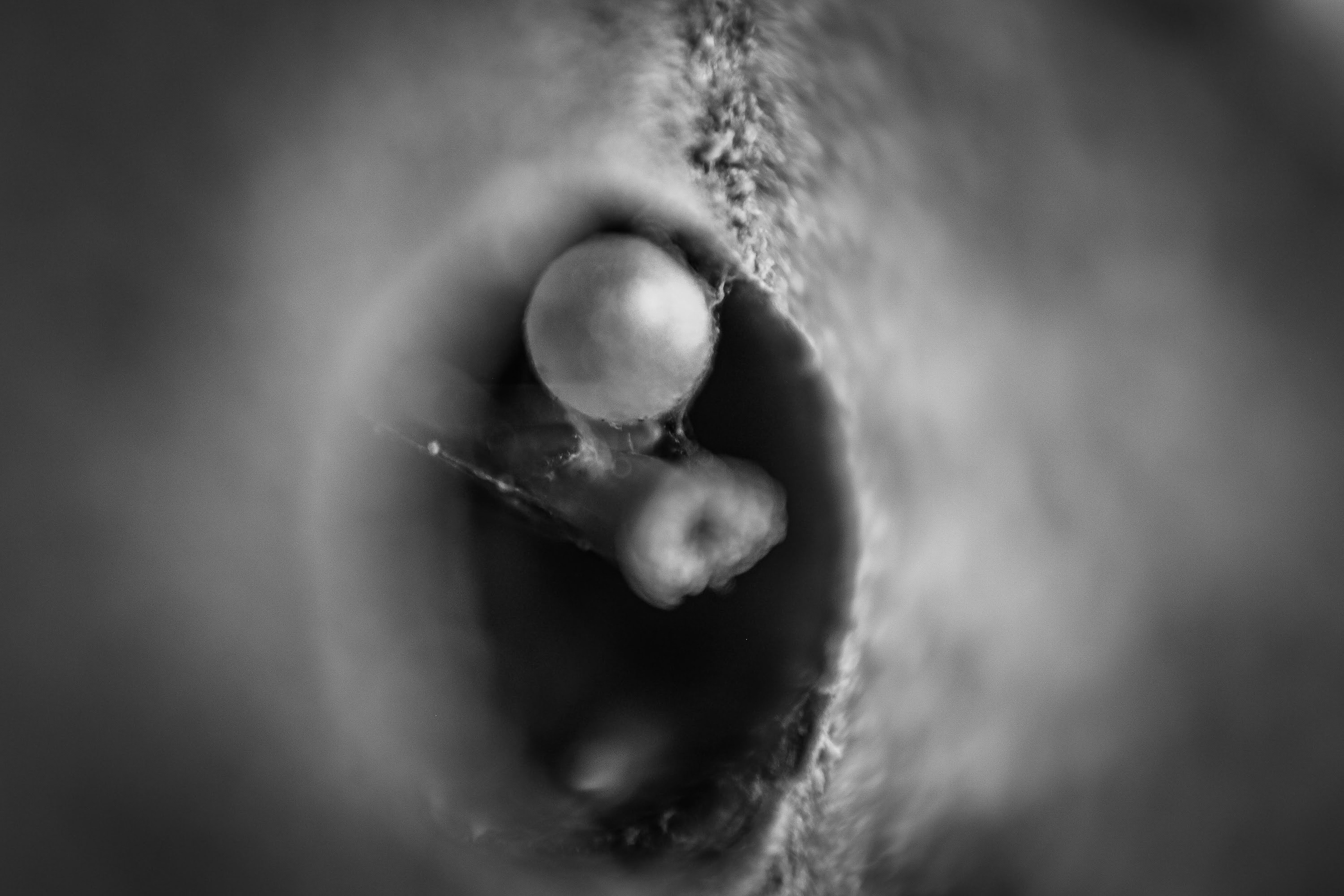 Часть III. 2020 — 2021. Наталья Чернобровкина — междисциплинарный художник