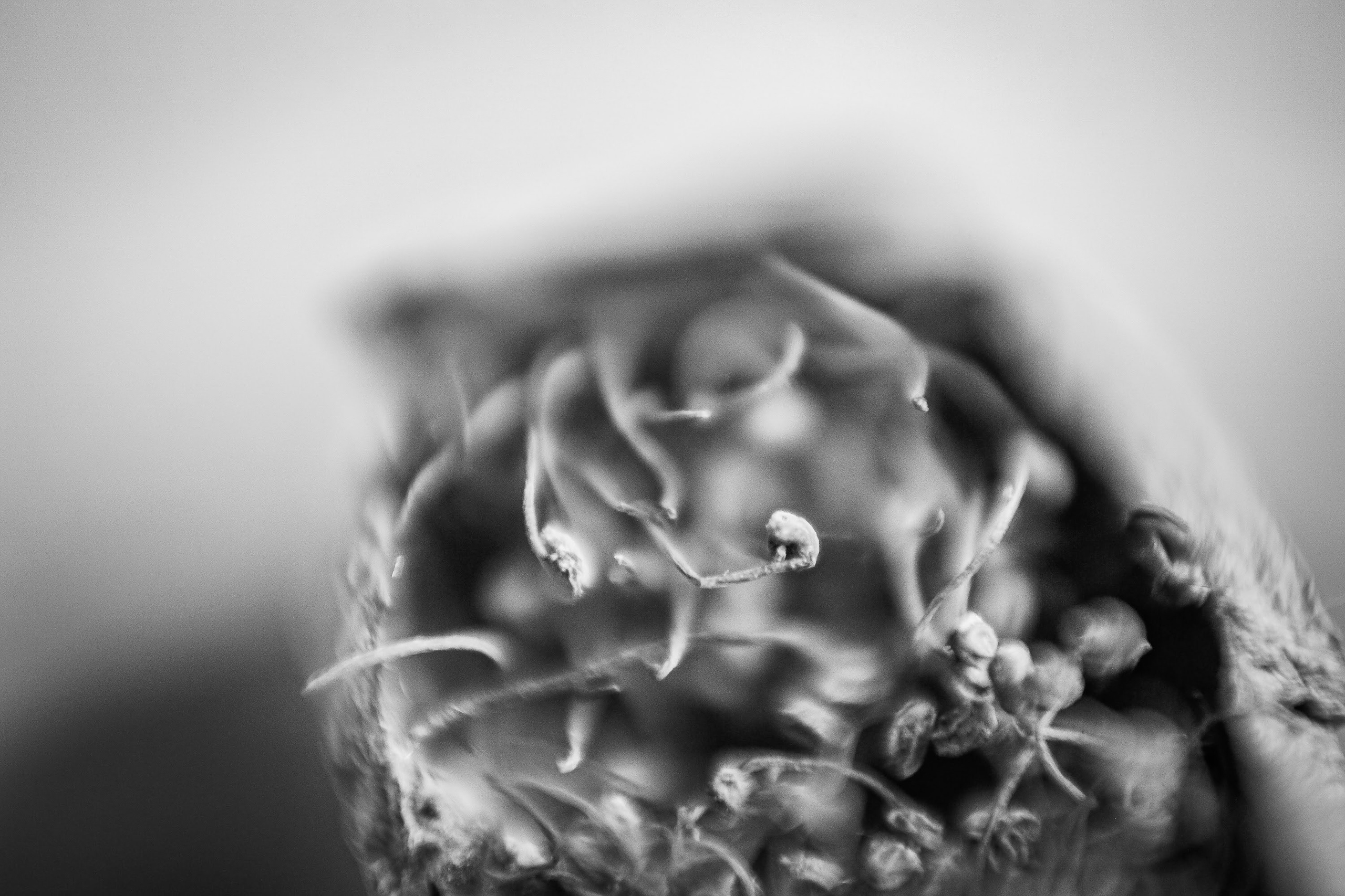 Часть III. 2020 — 2021. Наталья Чернобровкина — междисциплинарный художник