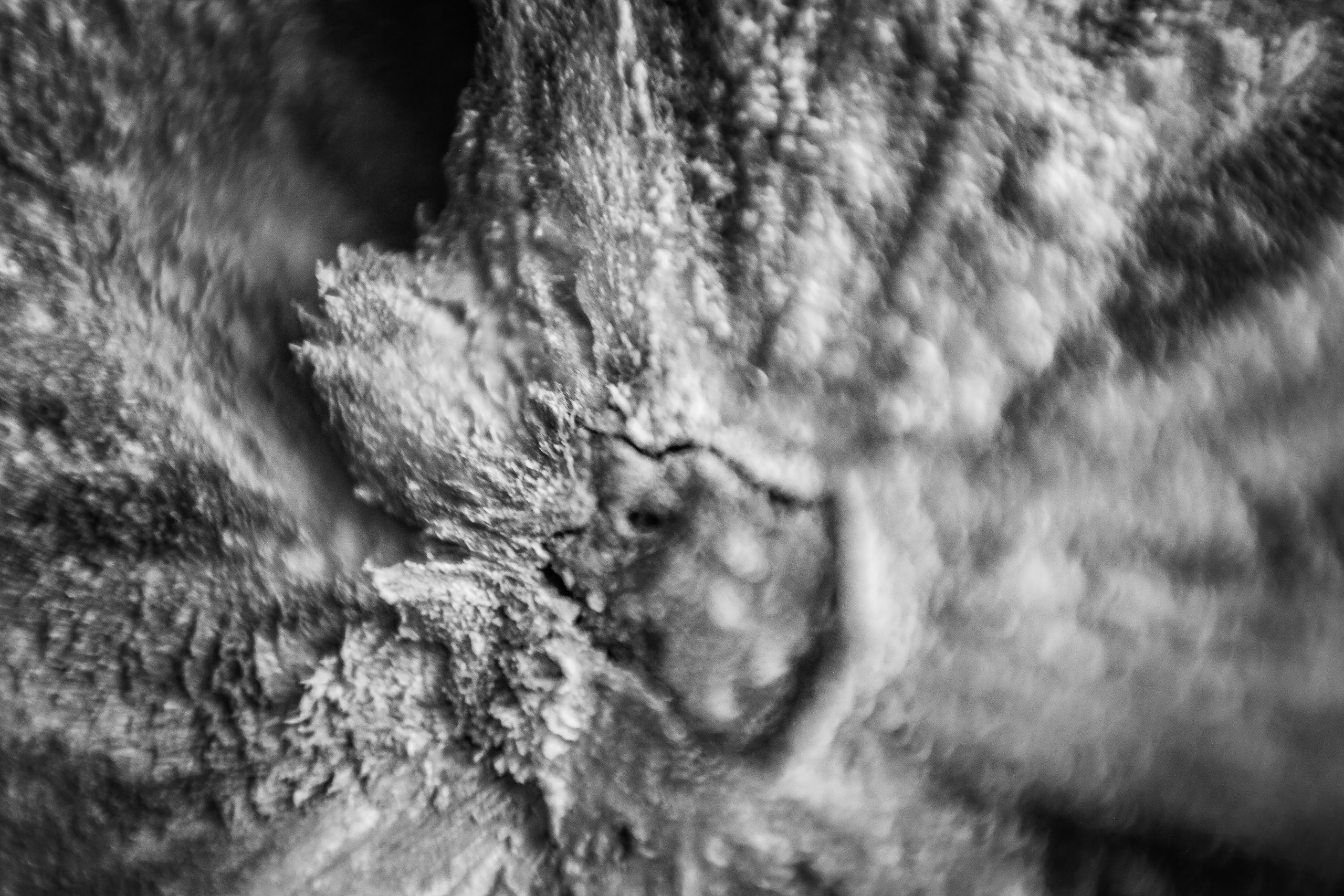 Часть III. 2020 — 2021. Наталья Чернобровкина — междисциплинарный художник