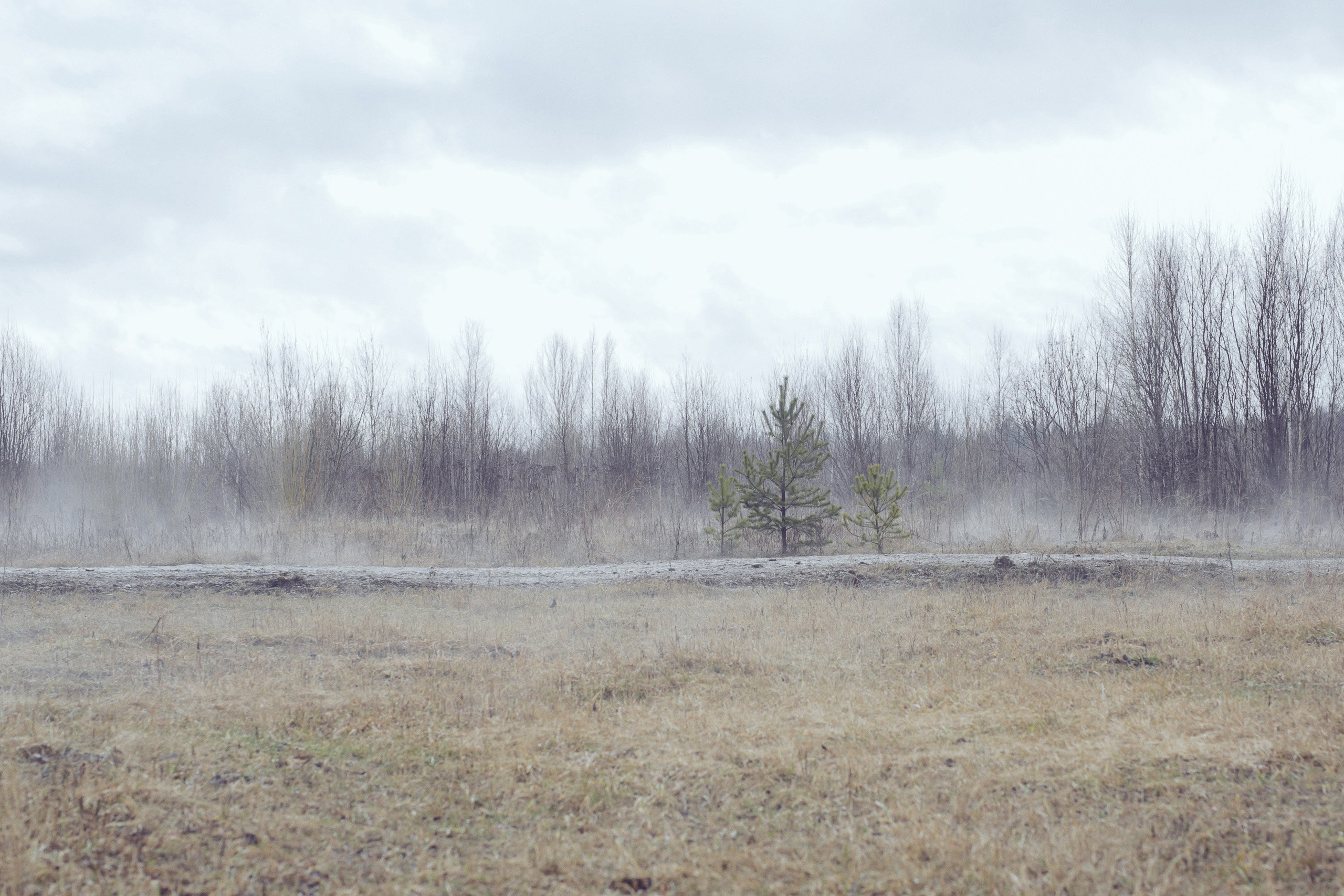 Часть III. 2020 — 2021. Наталья Чернобровкина — междисциплинарный художник