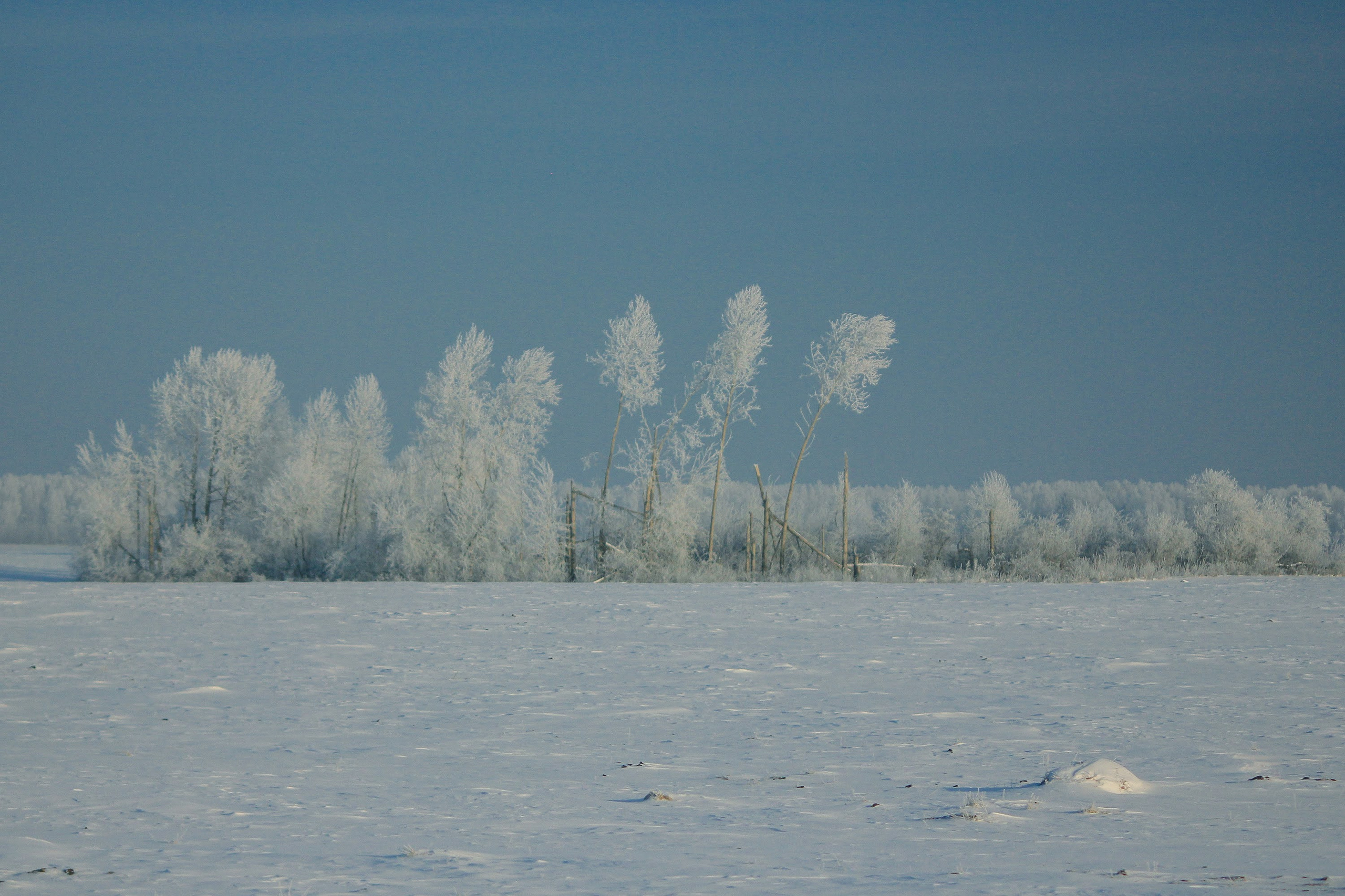 Часть I.  2018 — 2019. Наталья Чернобровкина — междисциплинарный художник