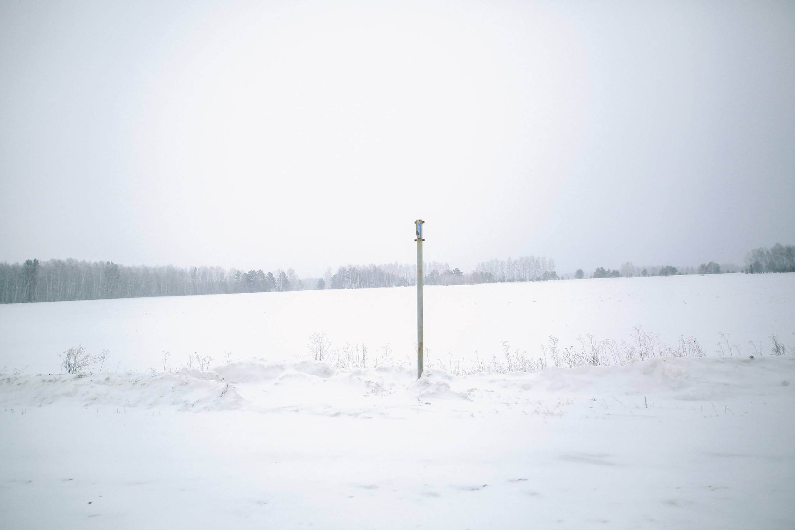 Часть I.  2018 — 2019. Наталья Чернобровкина — междисциплинарный художник