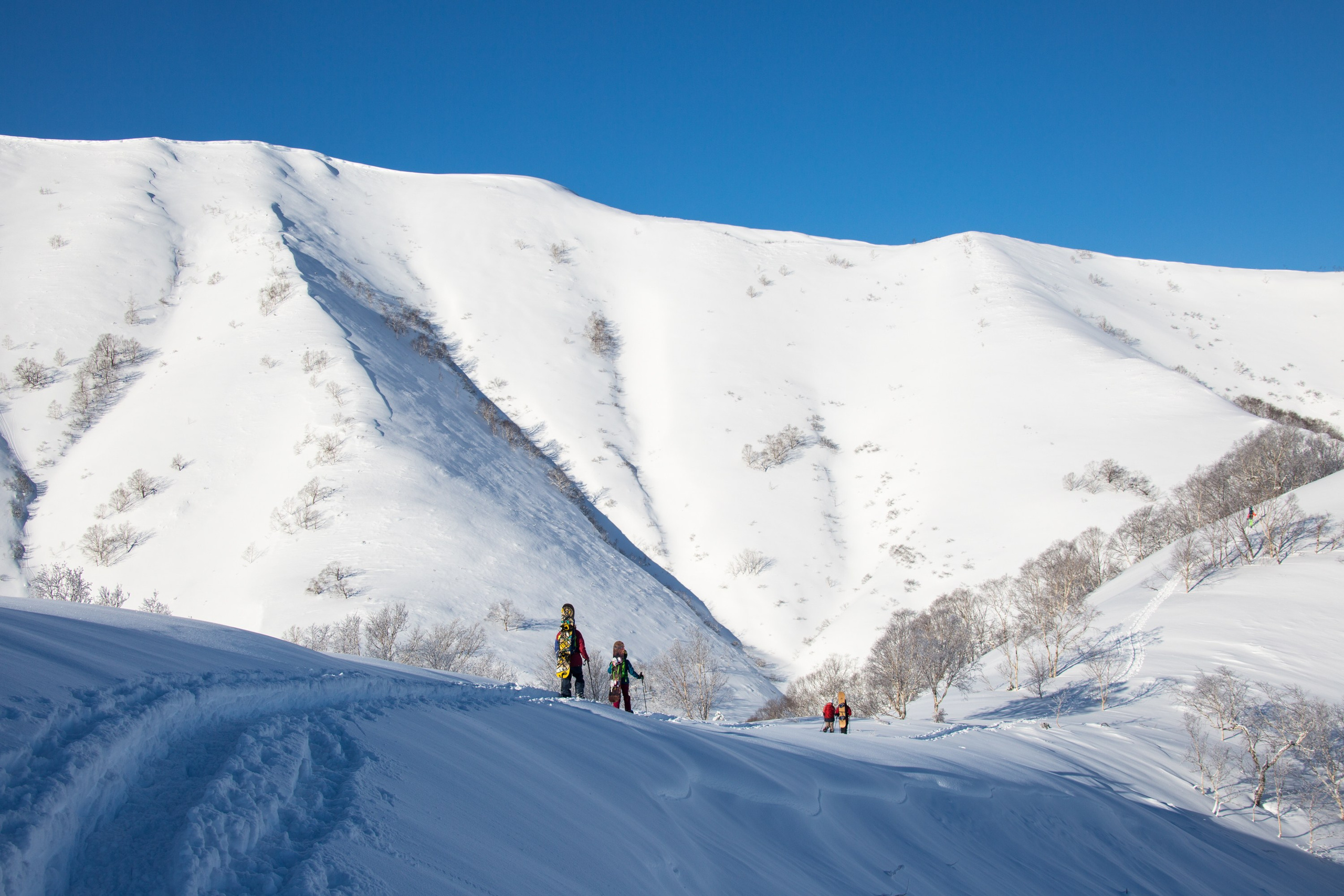 Ски-тур и бэккантри на Камчатке — восхождения и спуски среди вулканов. Время Камчатки: чтобы найти свой путь, нужно скорость умножить на время