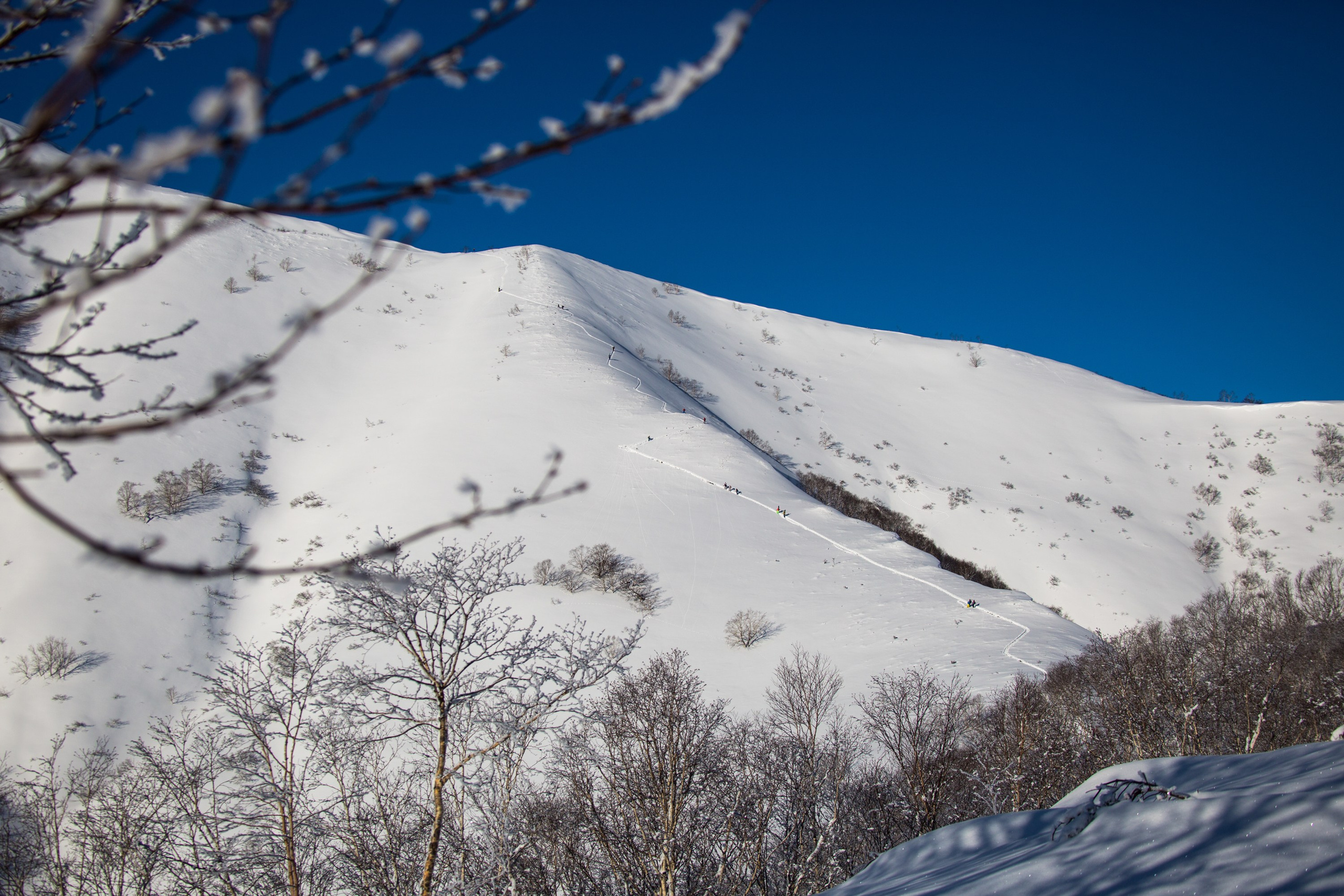 Ски-тур и бэккантри на Камчатке — восхождения и спуски среди вулканов. Время Камчатки: чтобы найти свой путь, нужно скорость умножить на время