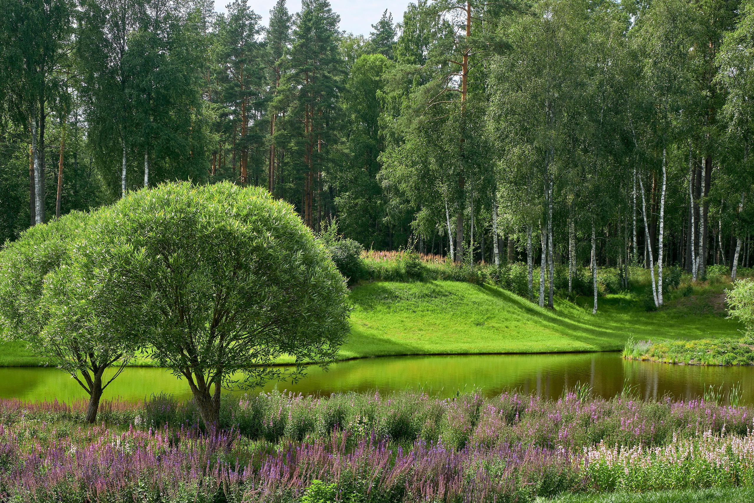 Ландшафтный и интерьерный фотограф Наталья Соловьева. Фотосъемка садов и недвижимости высокого уровня | interioto