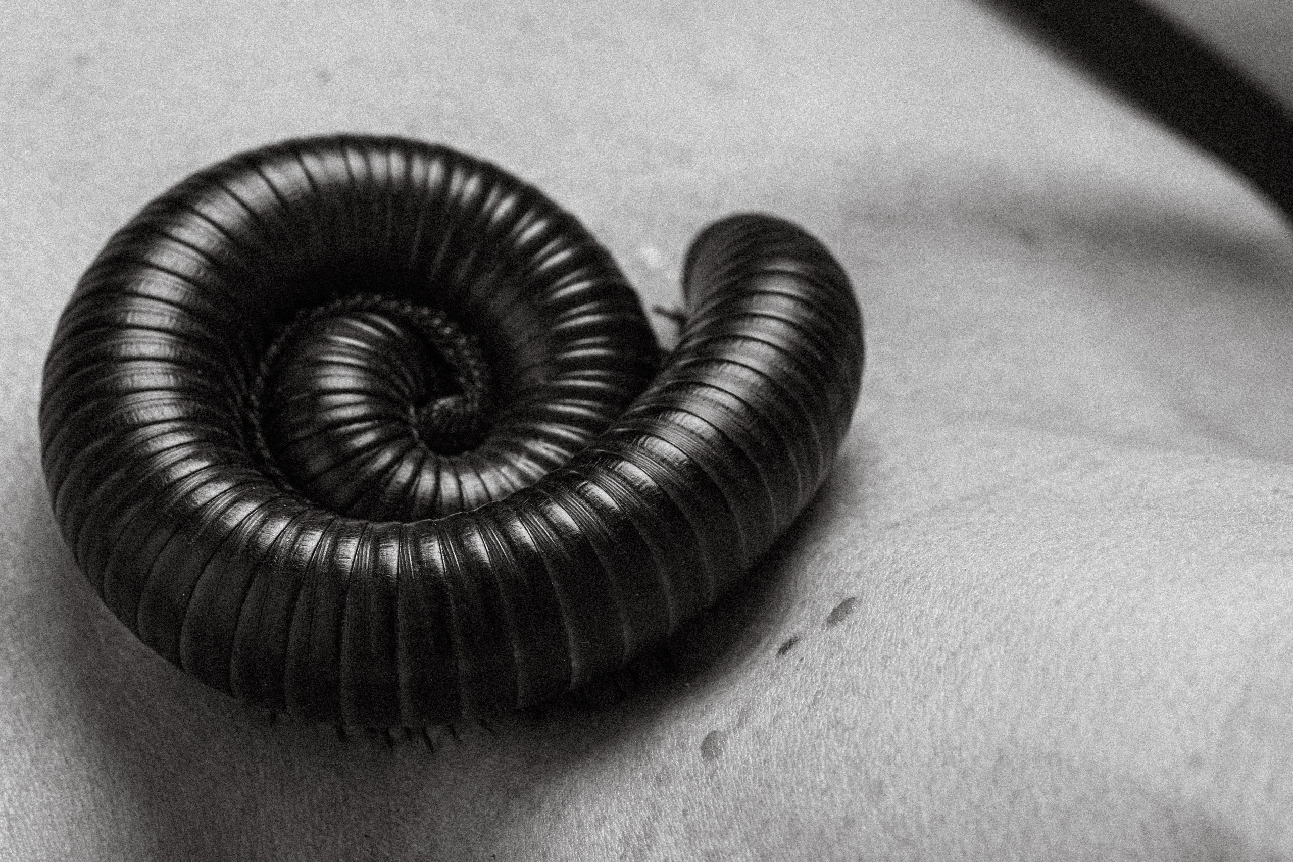 Эксозитическая фотосессия. Дима Меткин. Фотограф и режиссер (Москва)