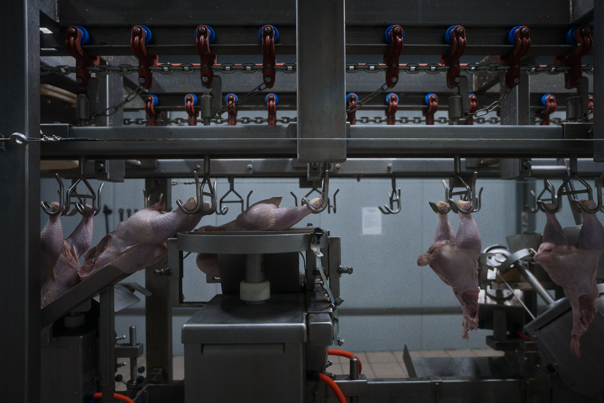 Фотограф Юрин Евгений