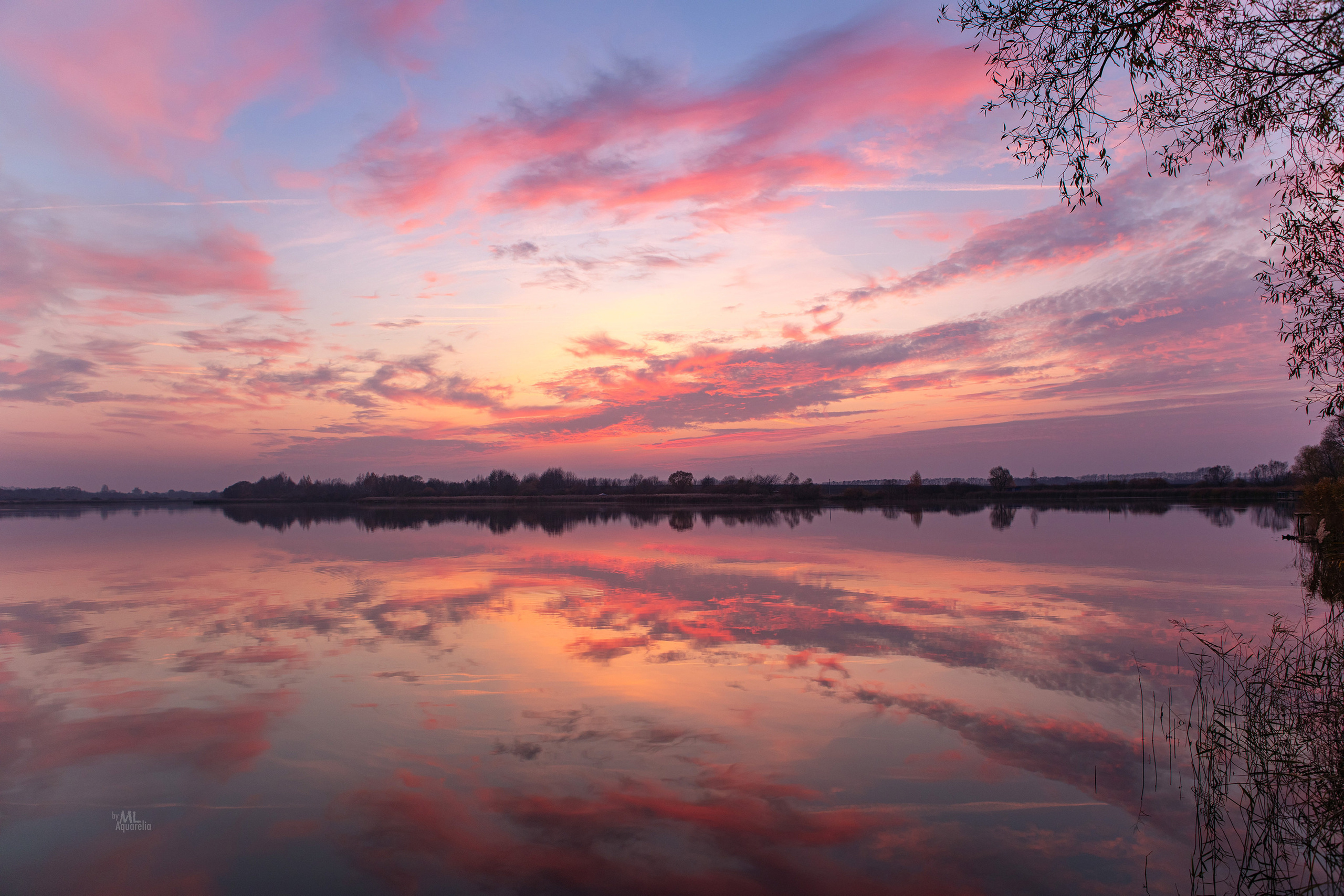 Услуги. Mrs.Aquarelia Конный фотограф Марианна Леонтьева