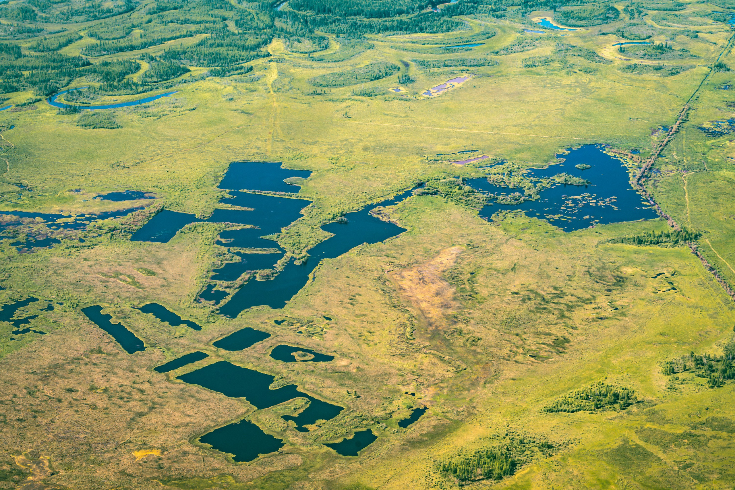 Купить принты. Планета Колыма. Элина Гусарова