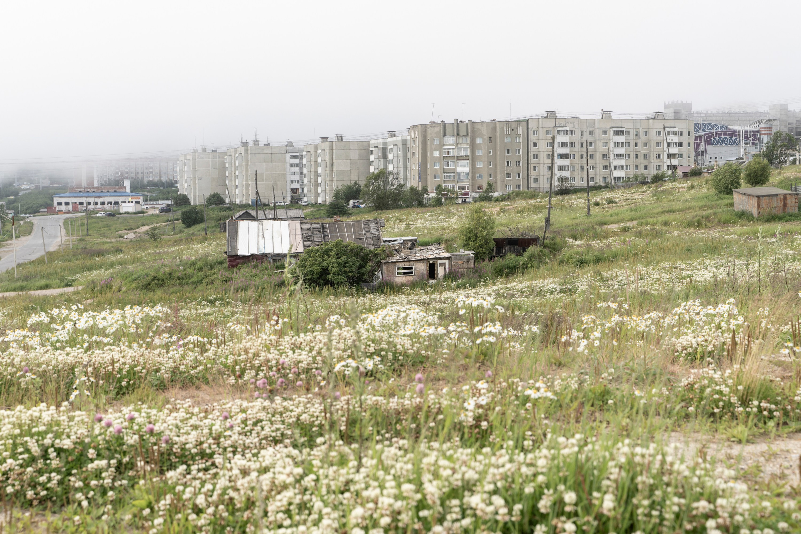 Клевер. Elina Gusarova