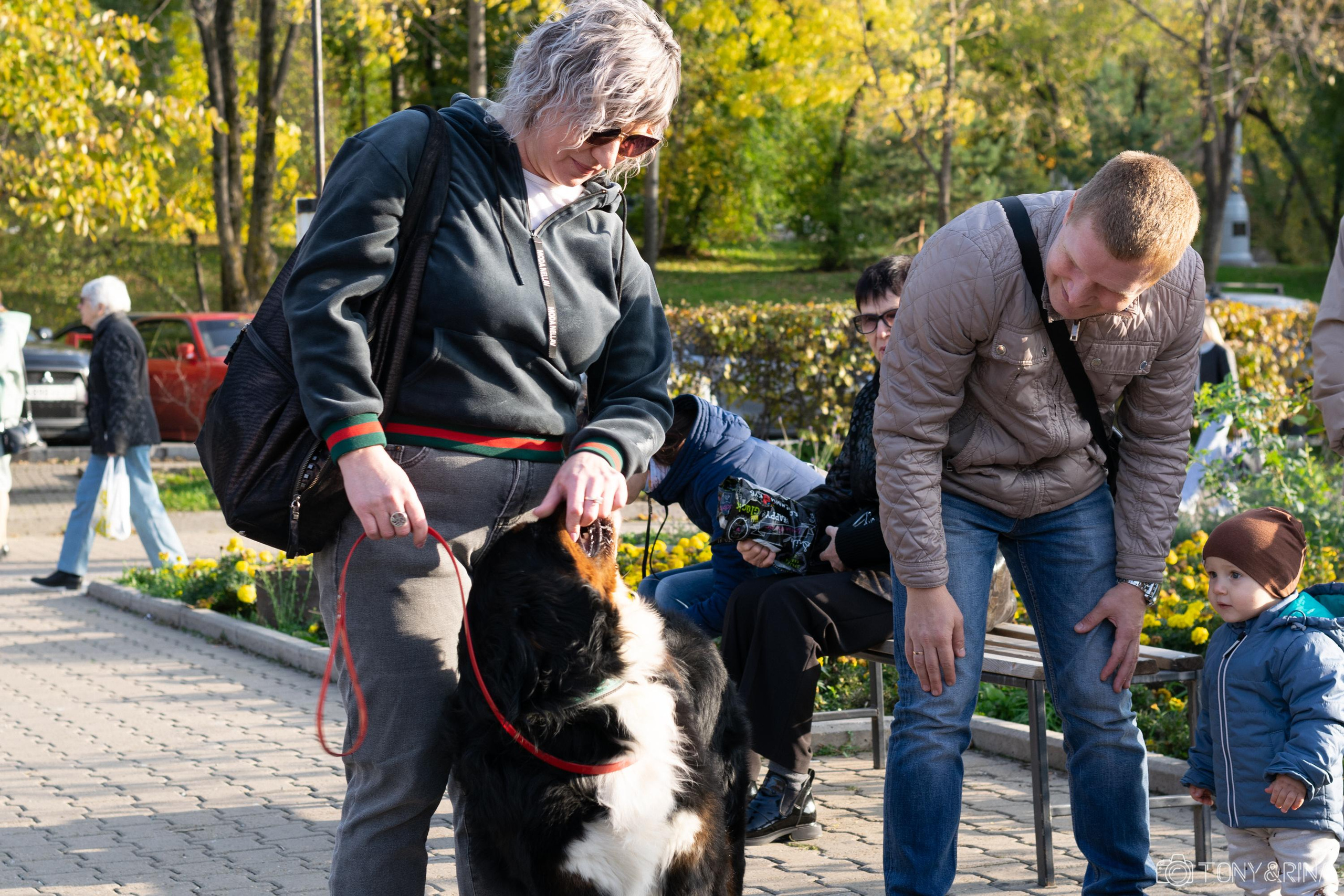 Международный фестиваль «Рок в защиту животных» в Хабаровске. Фотограф в Хабаровске Антон Курдюмов FOTO-27.RU