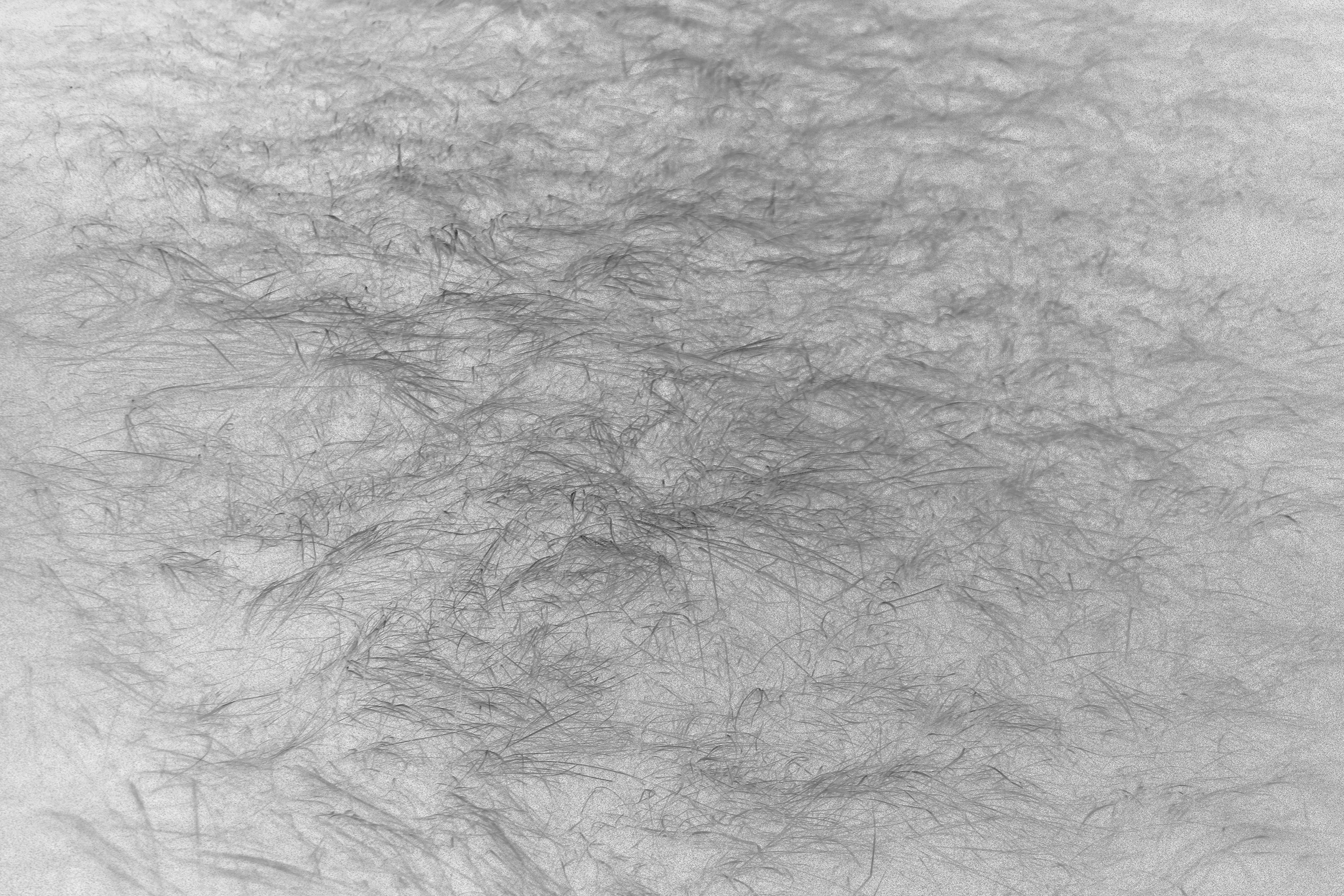 Сибирский путь. Julia Altukhova, multimedia artist