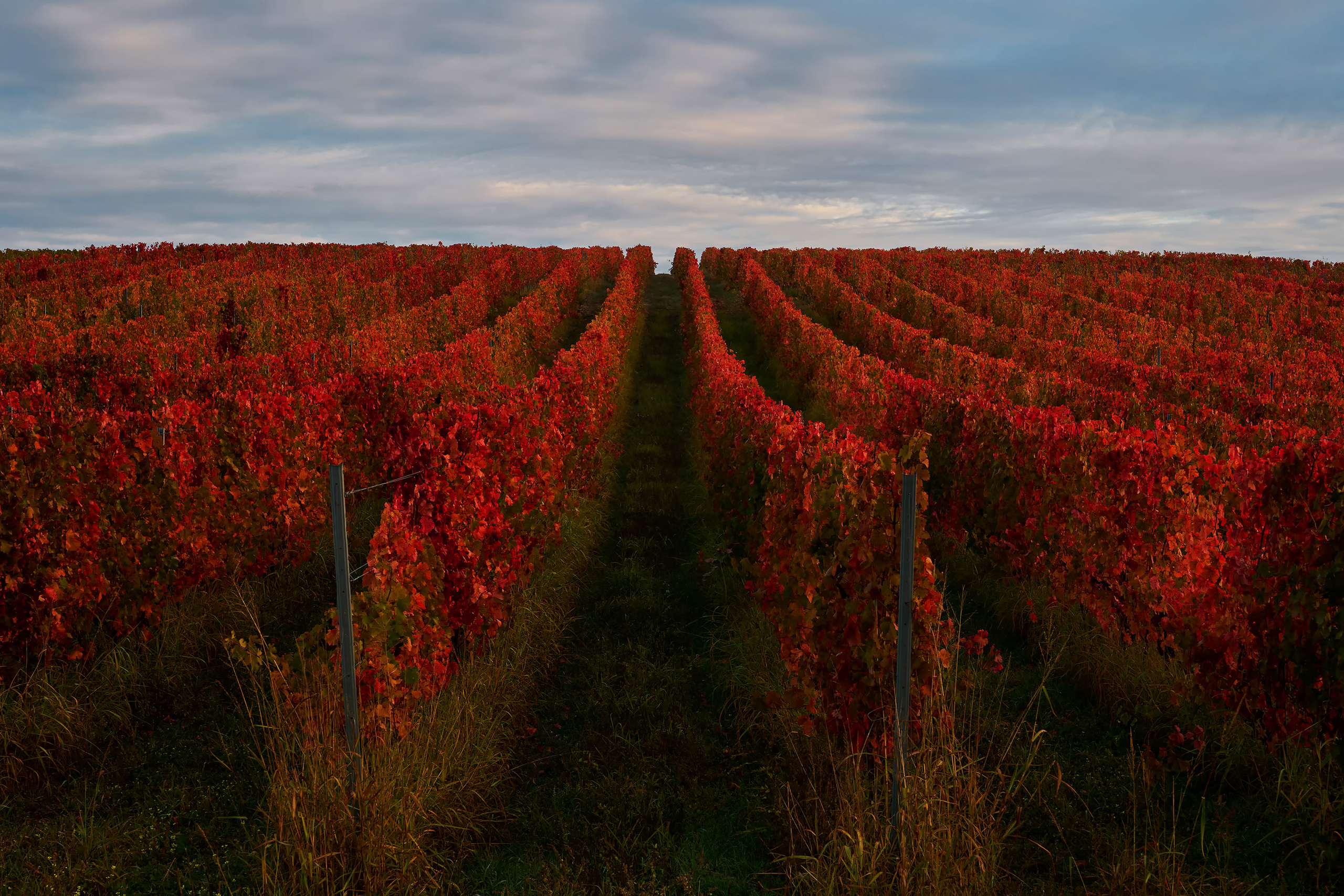 Работы, на дереве, холсте, стекле, которые можно приобрести. Яркие фото на Чёрном море