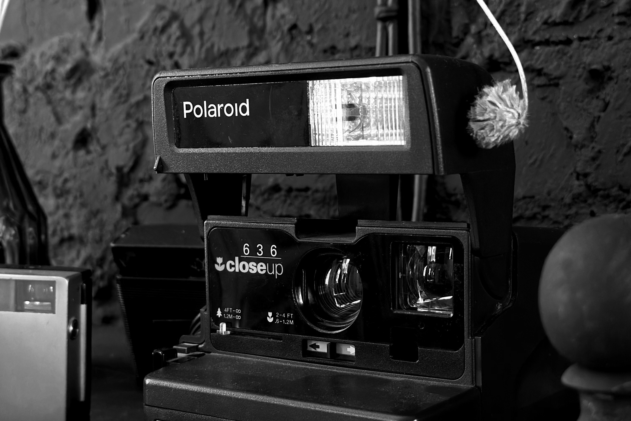 Цены на услуги профессионального фотографа: индивидуальные и групповые фотосессии