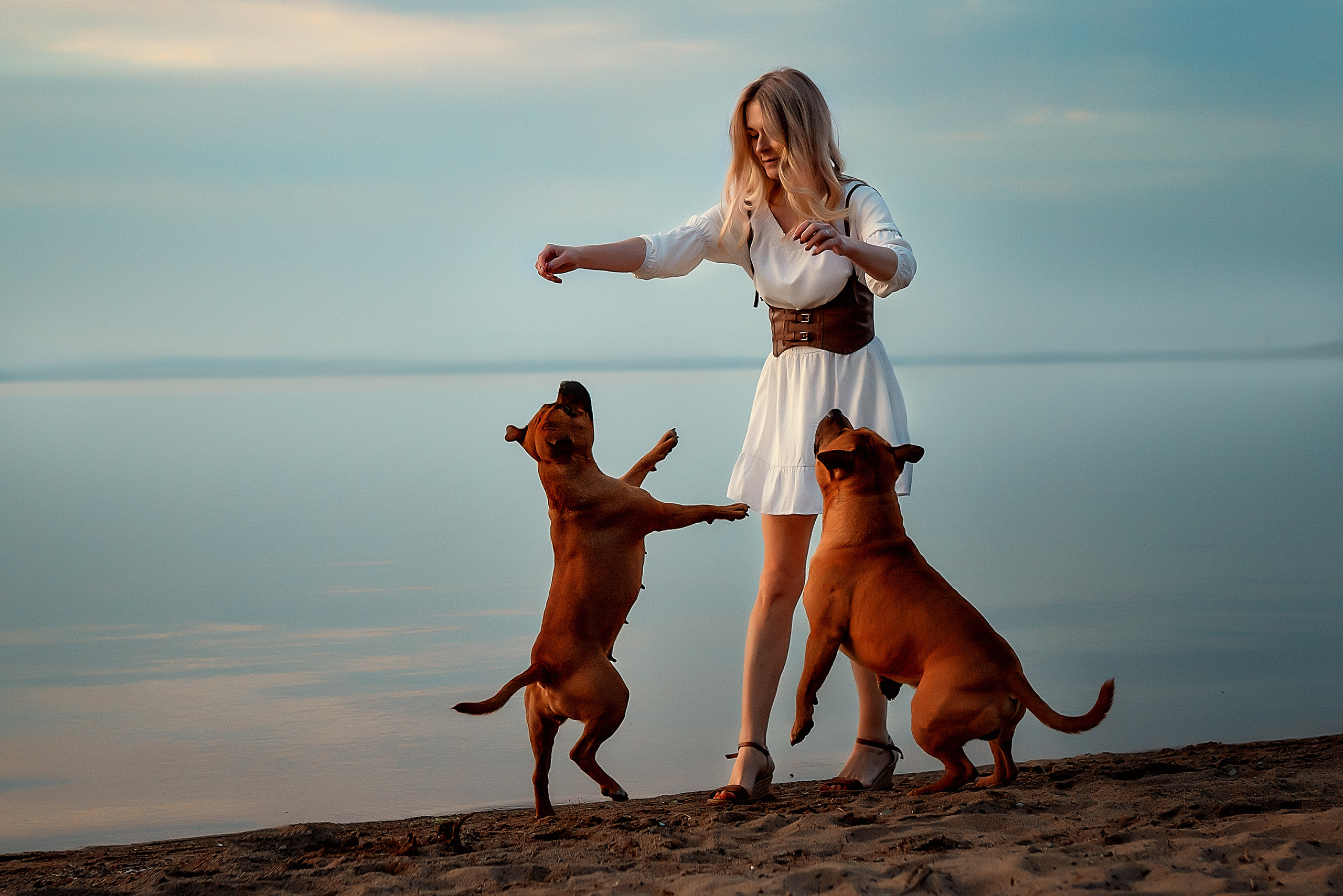 Фотопрогулки с питомцами. Фотограф Кочнова Диана город Владивосток