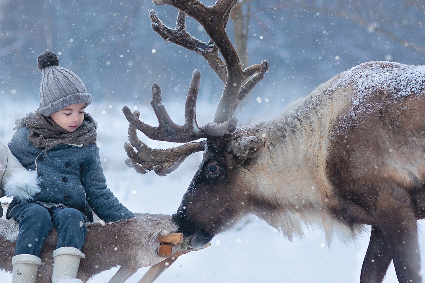 Стоимость аренды животных. Фотограф Лия Милк | Москва, Подмосковье