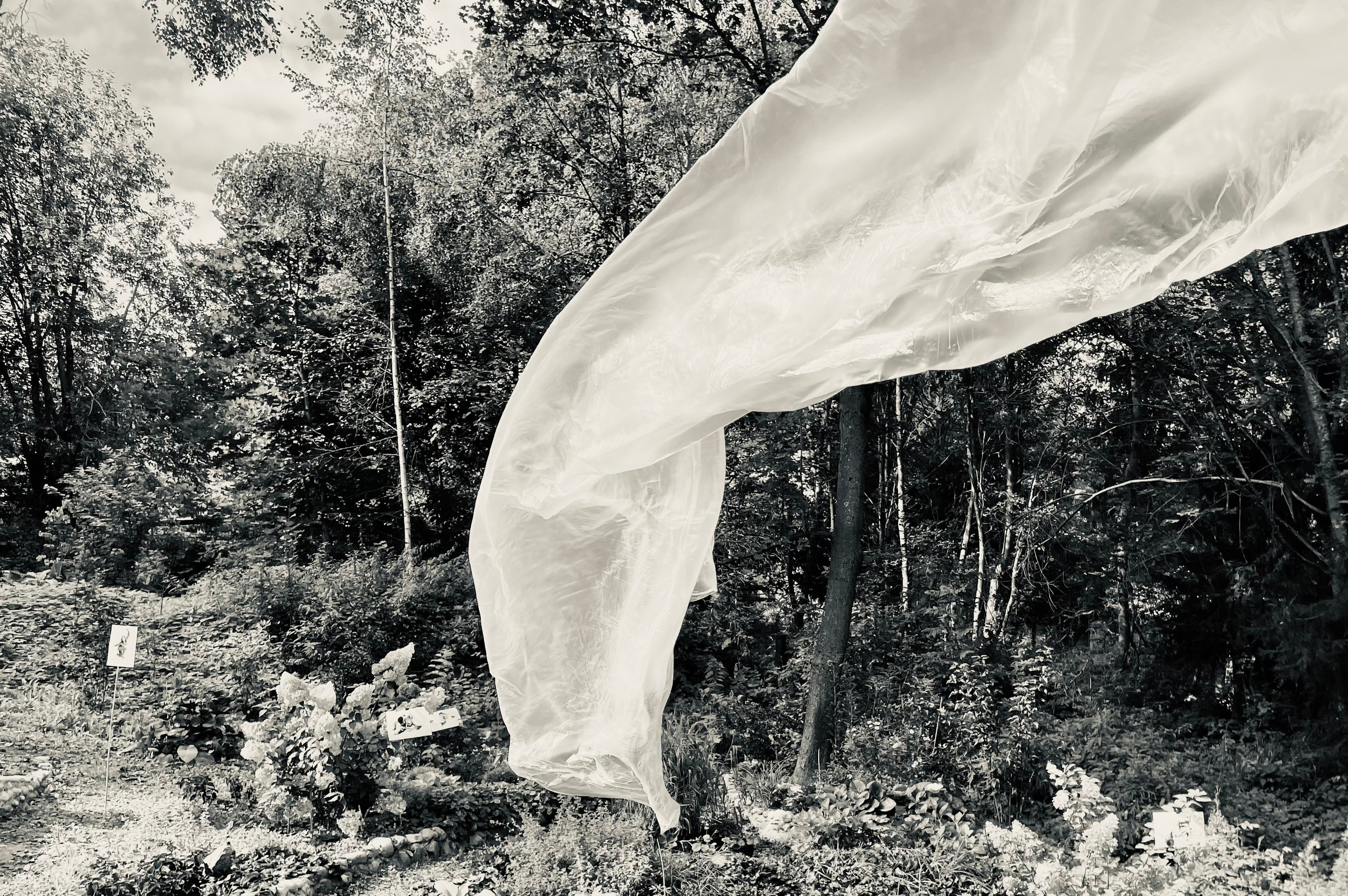 Персональные выставки. Visual artist, photographer Liana Darenskaya, Moscow