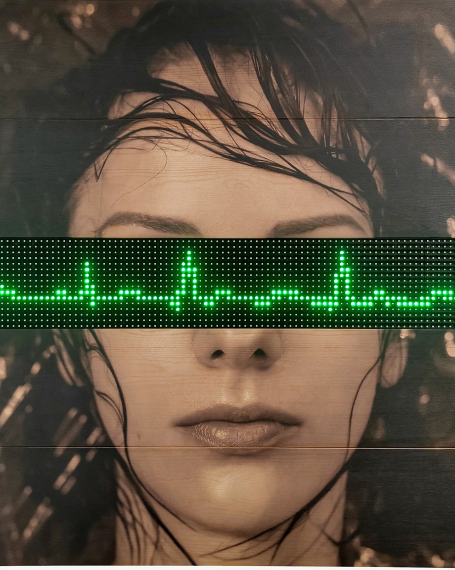 Installation. Alya Segova