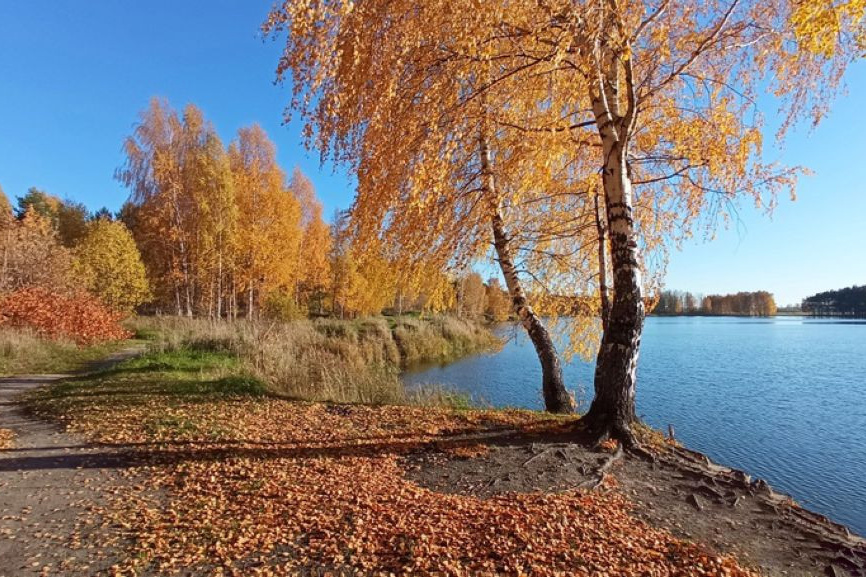 Локации. Портретный фотограф в Ярославле — Андррей Неледько