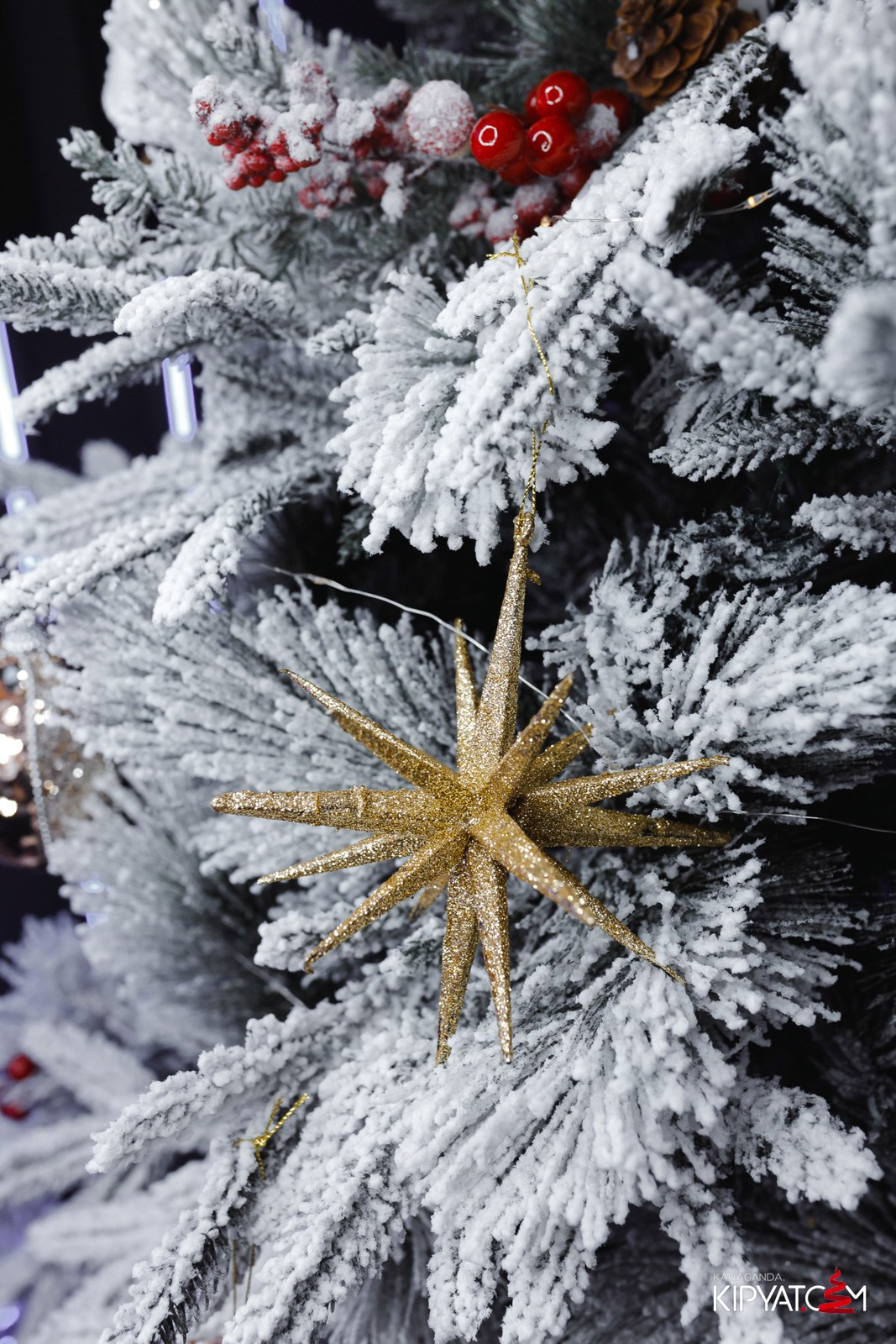 LIBRETTO. Кипятком Караганда