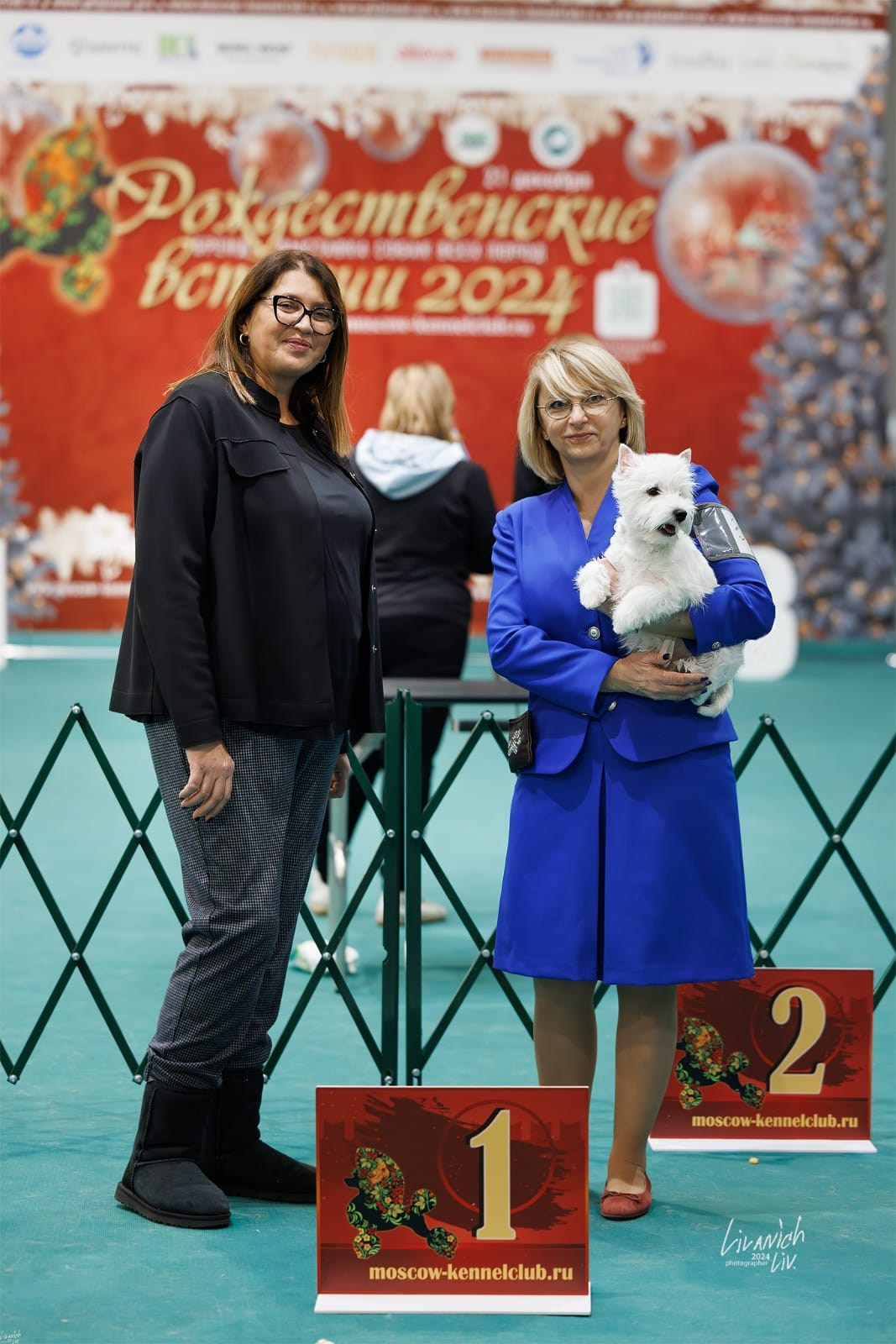 Выставка «Рождественские встречи». Питомник собак породы вест хайленд вайт терьер в Москве