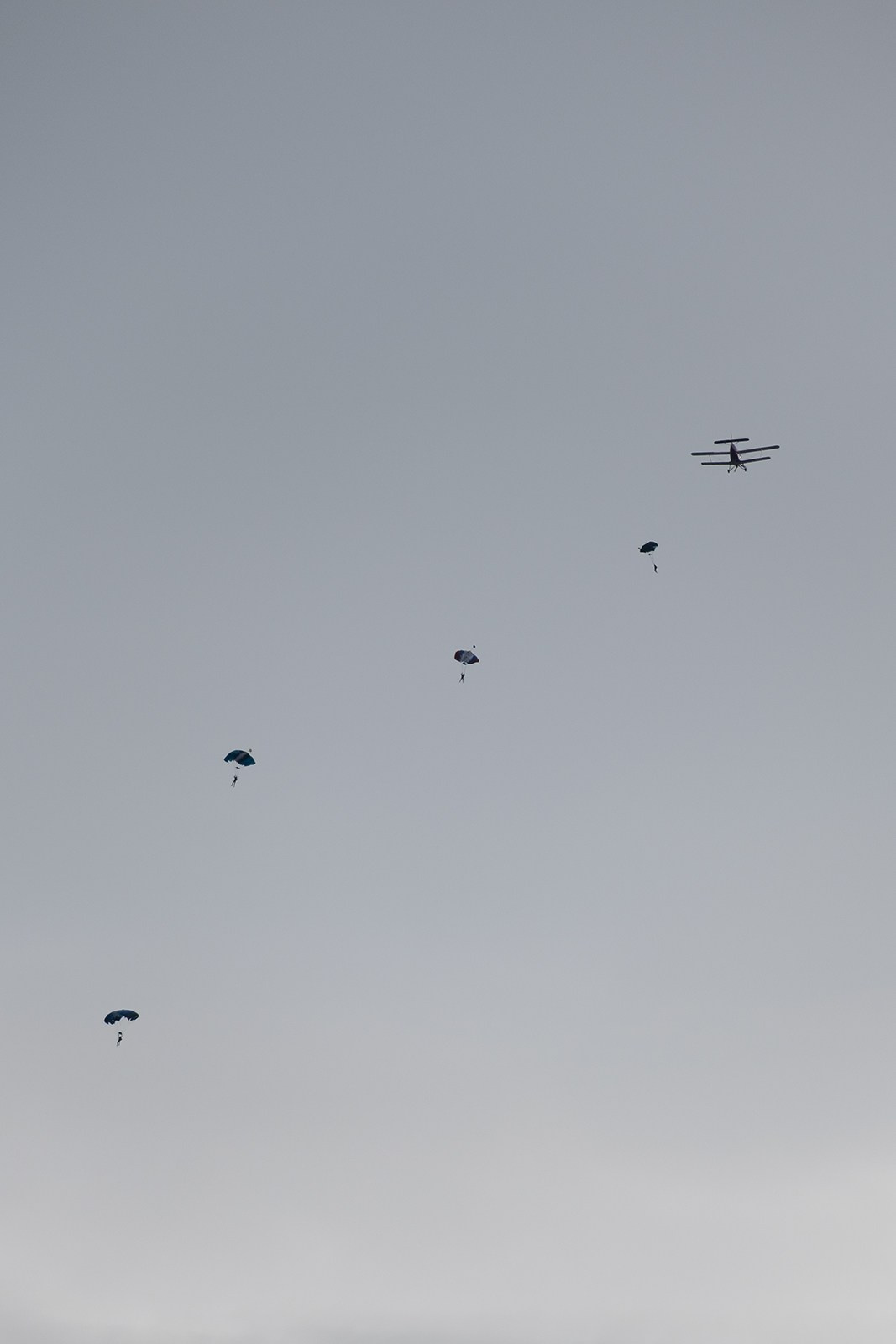 Ан-2 сбрасывает четырех парашутистов. Раскрытые купола.