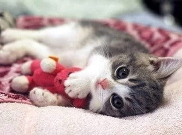 Читальный зал. Марина Рыбкина — Глубинная психология