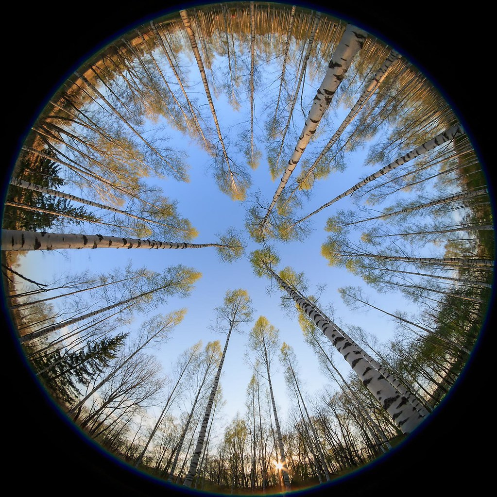 Объективы: фишай. PHOTO COMMUNITY #SBERTEAM