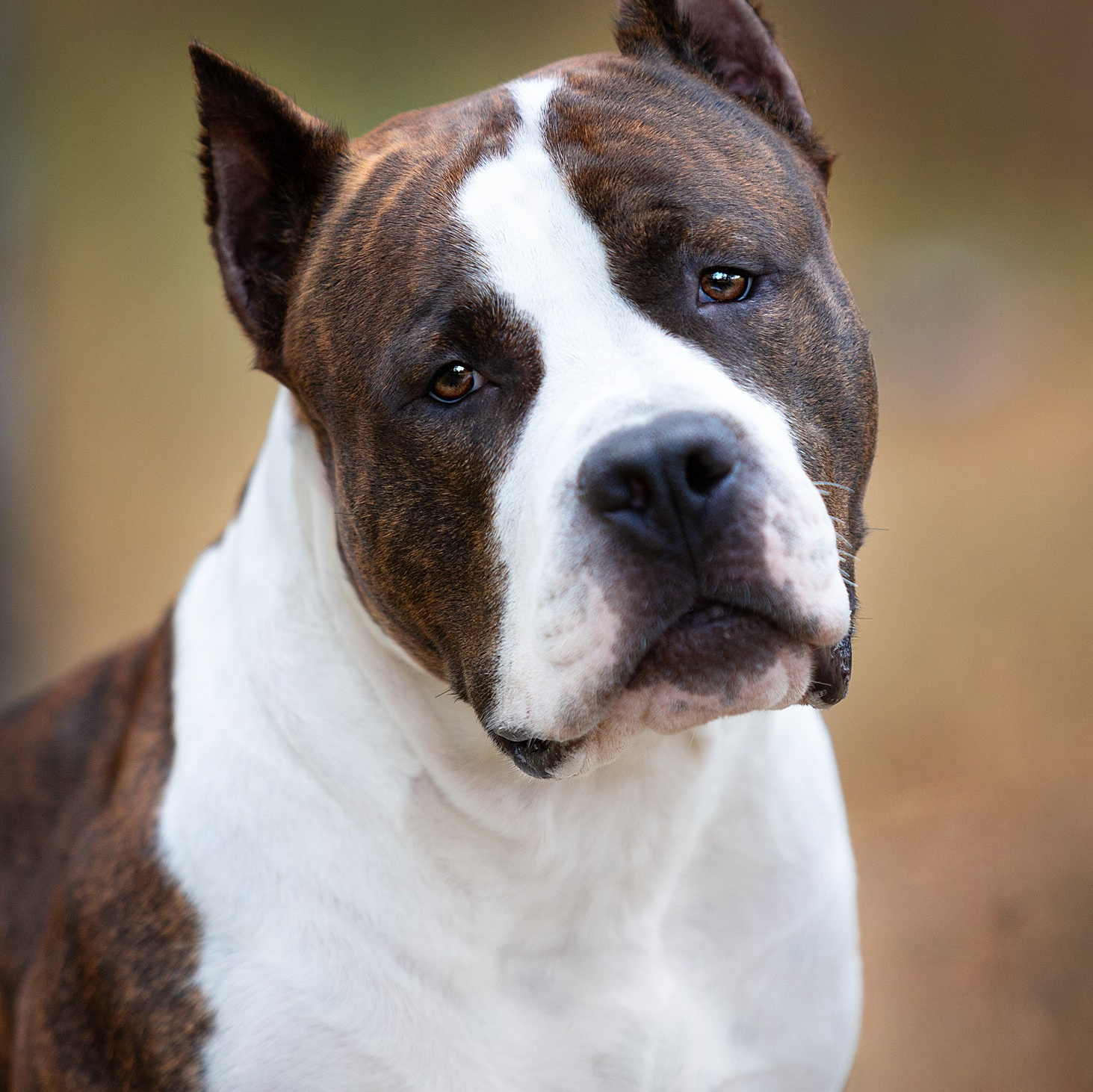 Фотограф-анималист в Москве Евгения Старостина