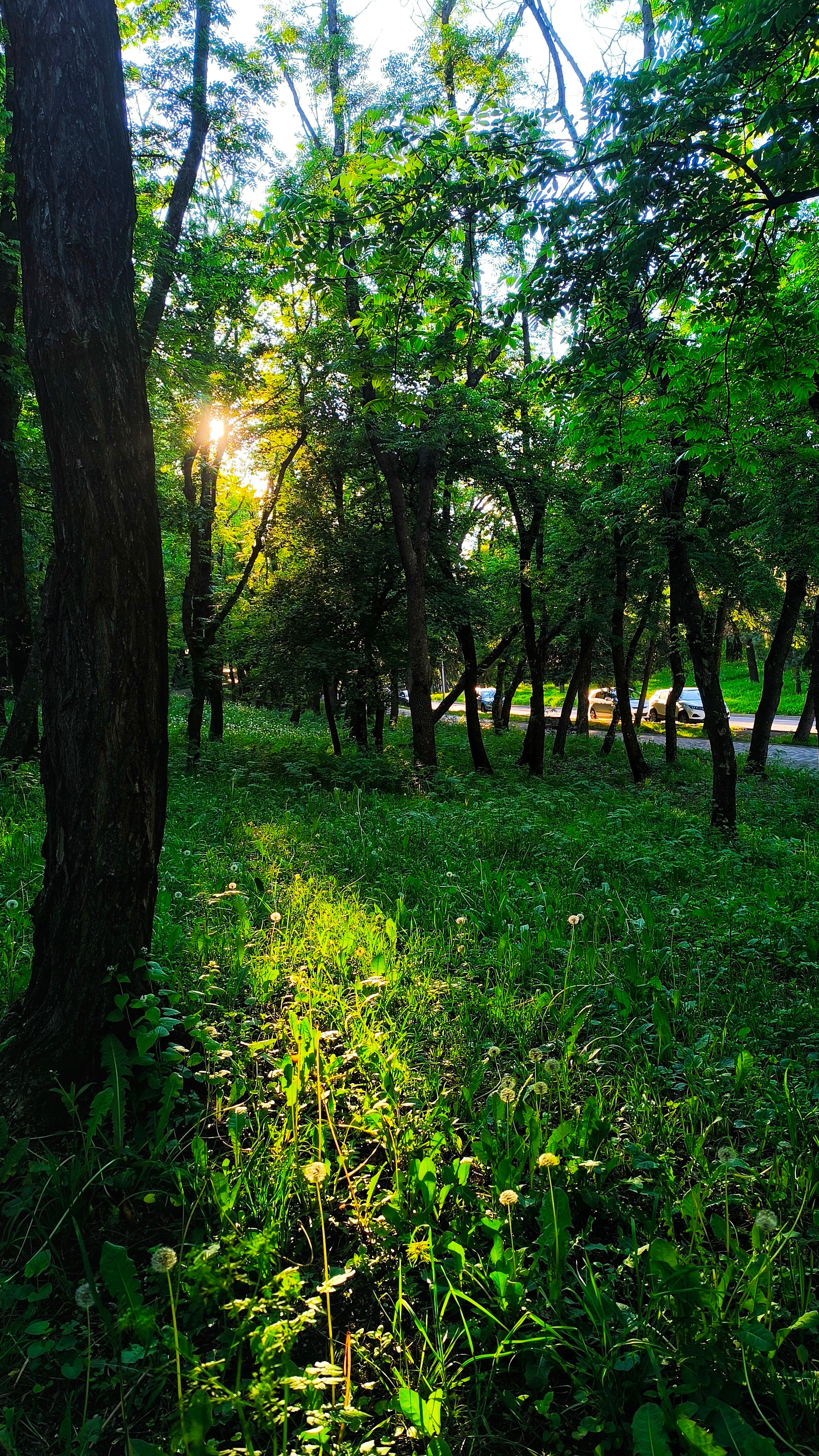 Весенний Пятигорск. Фотосайт Андрея Прокопенко