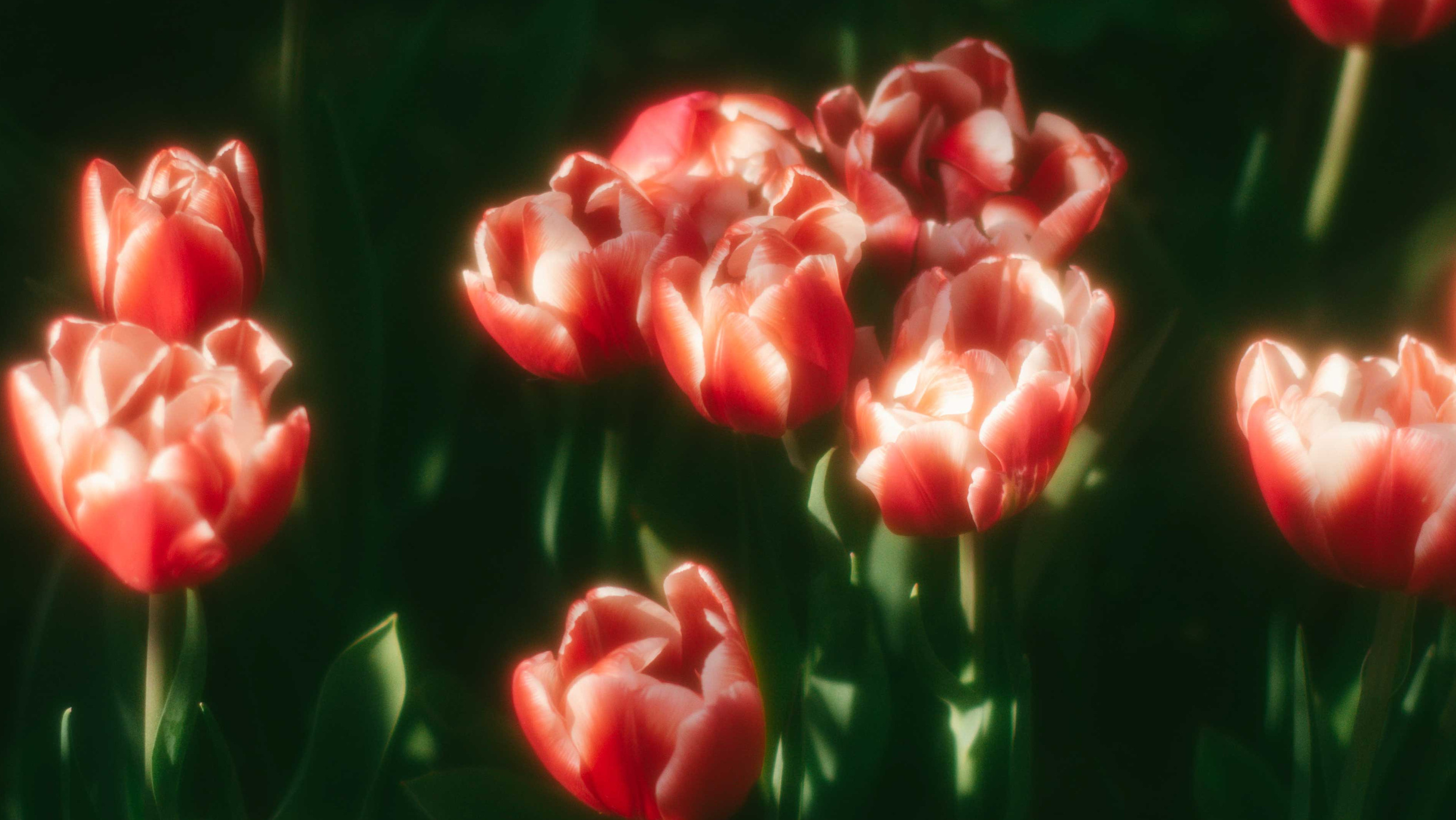 Фотограф индивидуальная портретная съёмка Москва