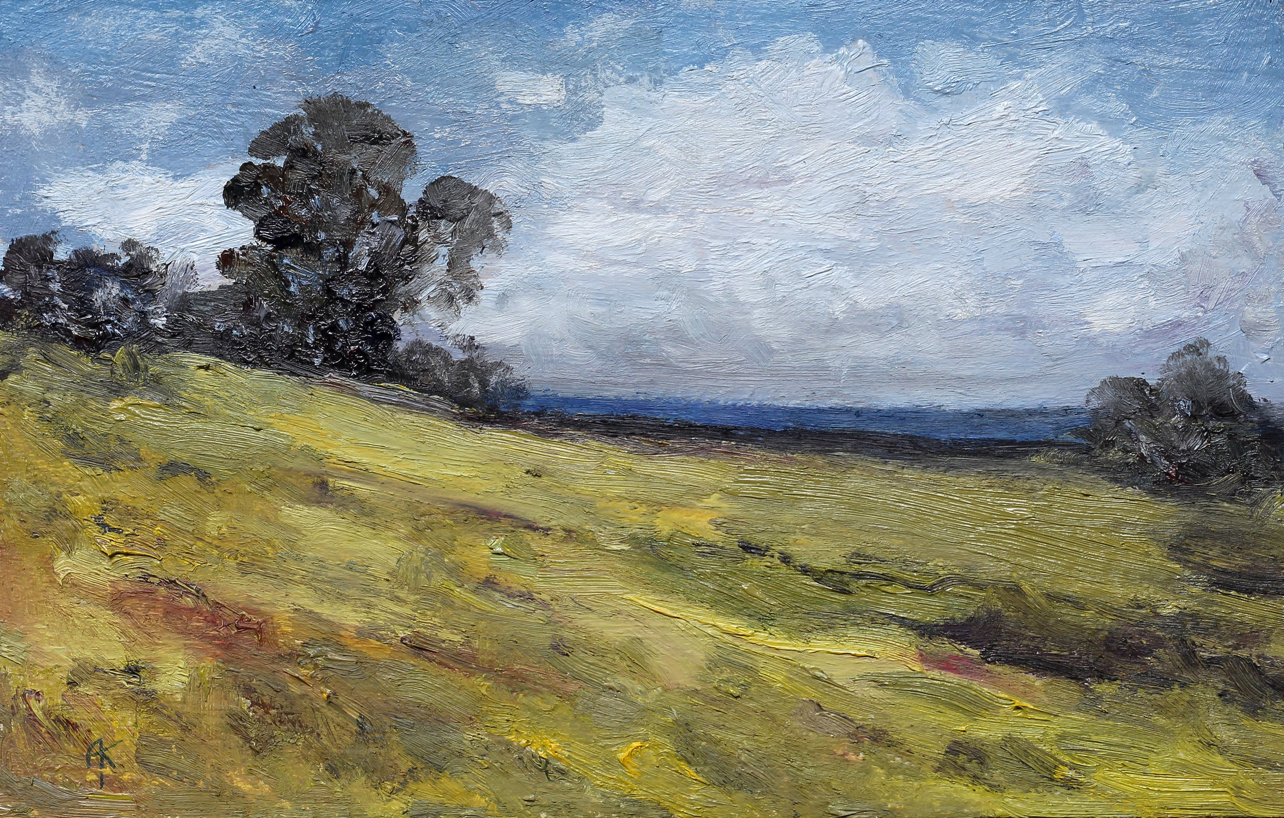 Картины на заказ. Кирилл Агеев художник Санкт-Петербург