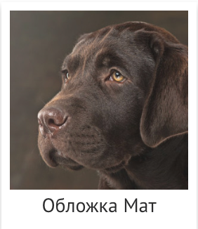 Фотообложка, техн. Фотограф Ольга Молева