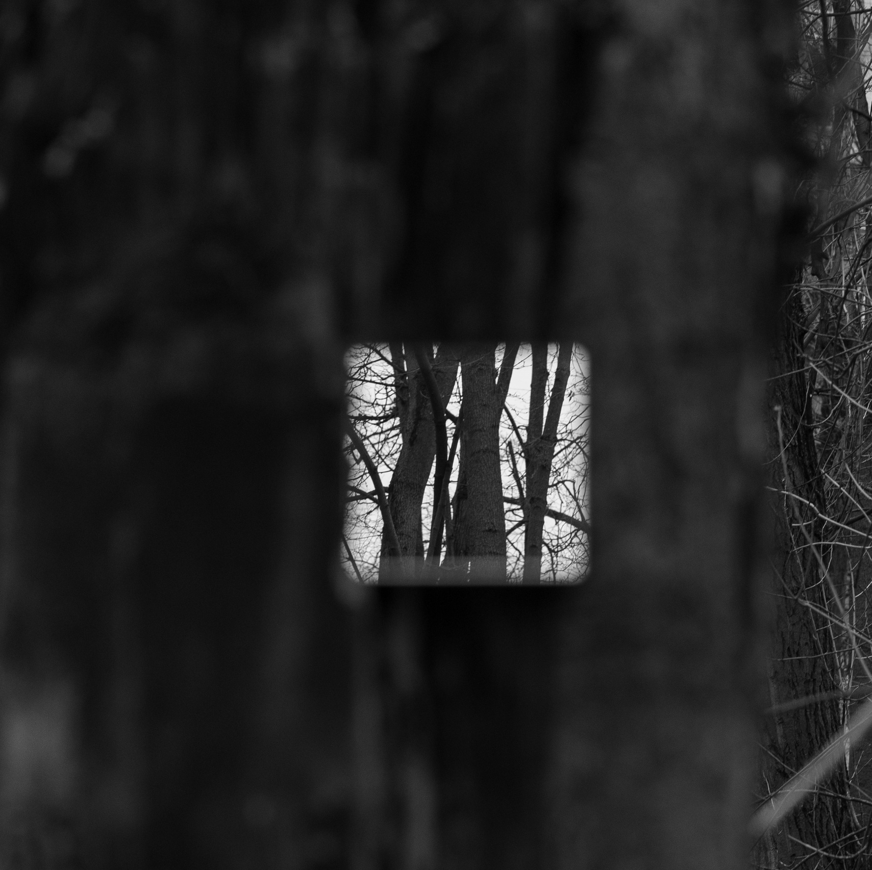 Фотограф алина стерхова, алина стерхова фотограф, фотограф москва