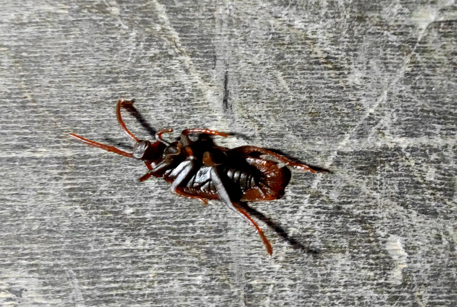 Шоковая терапия против равнодушия. Журнал о самом особенном. Пермь и Пермский край