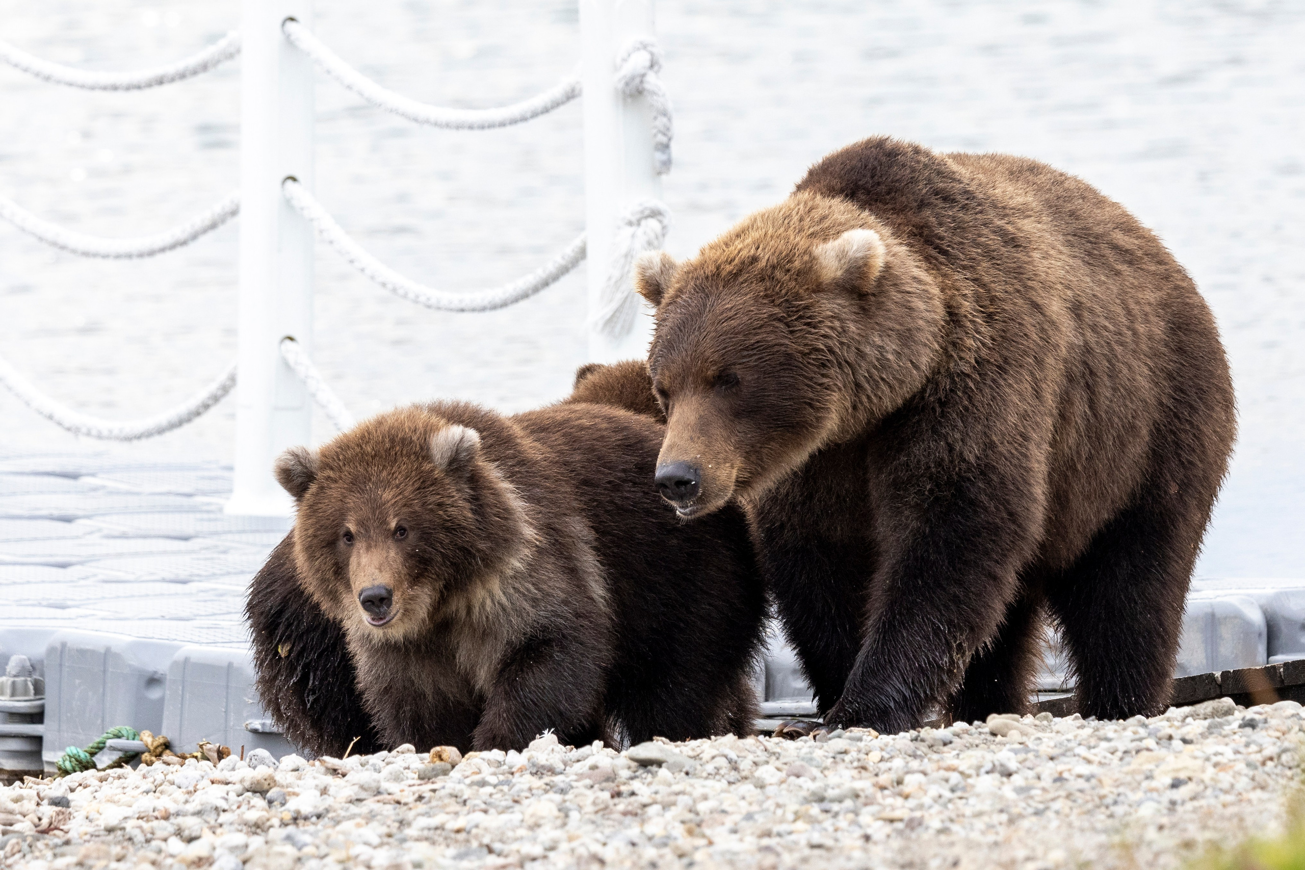 Путешествия по Камчатке и Северным Курилам. Время Камчатки: чтобы найти свой путь, нужно скорость умножить на время