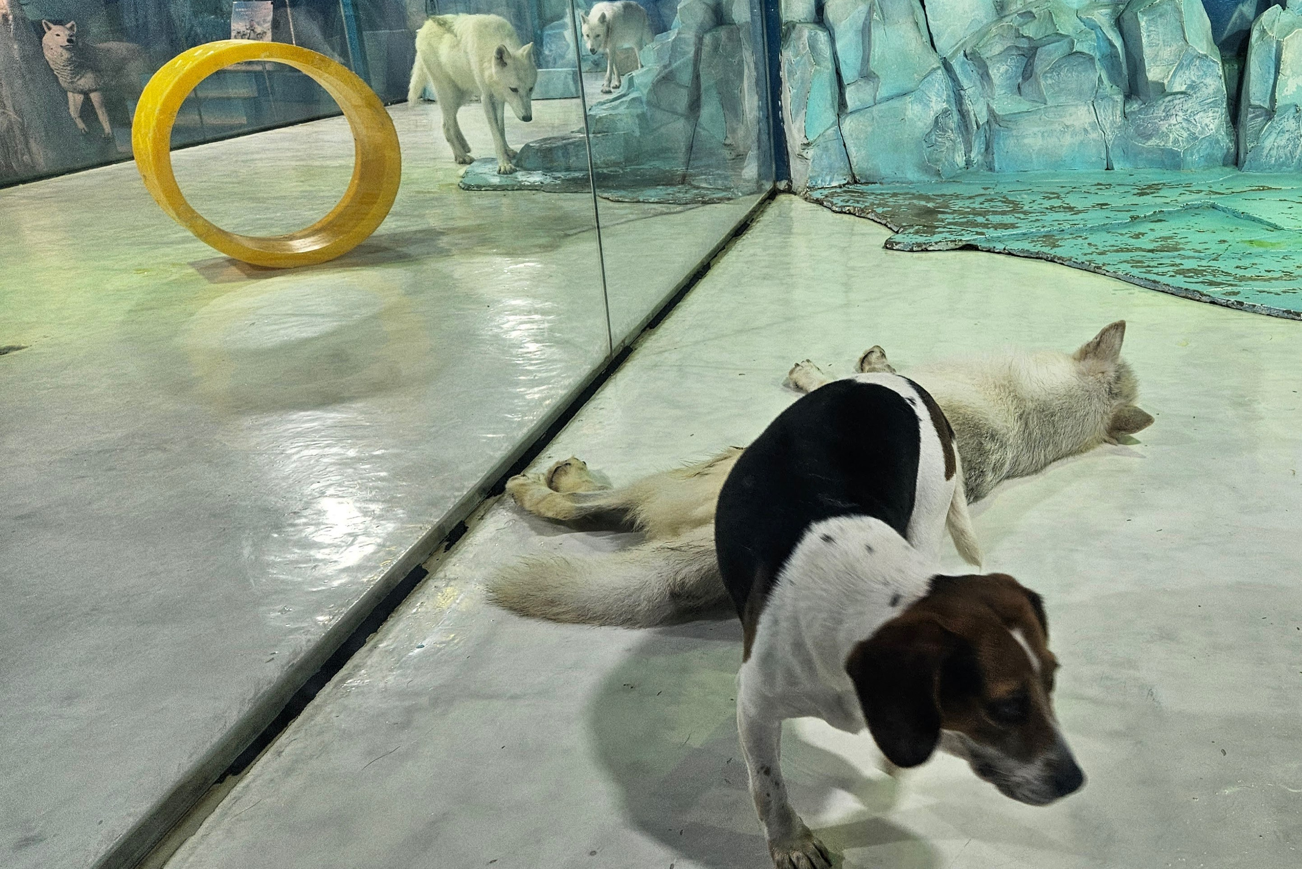 Китай. Июль 2025