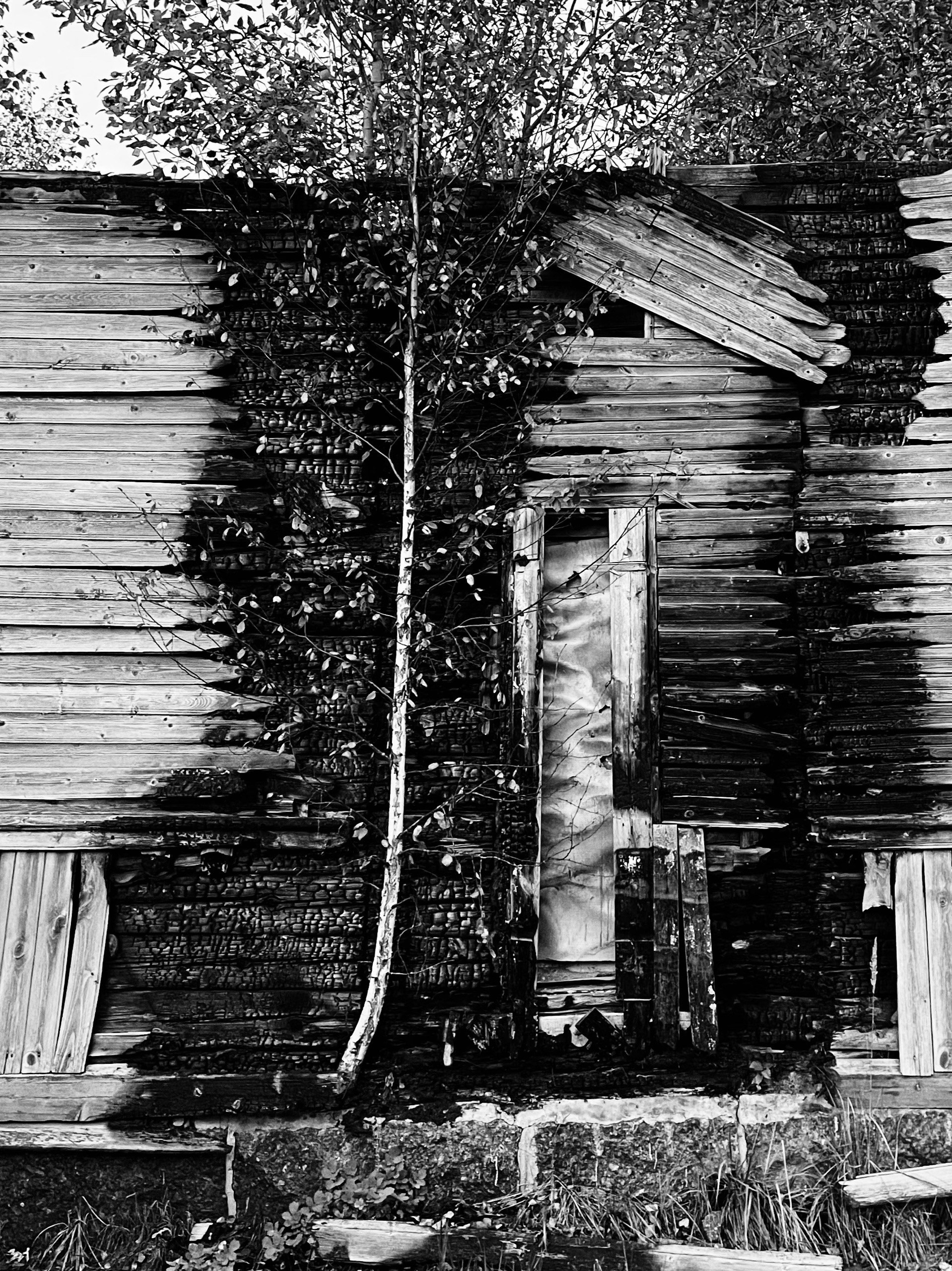 «Кадр&Слово». ФотоМарафон ПроКреатив — пространство креативной фотографии и визуального мышления