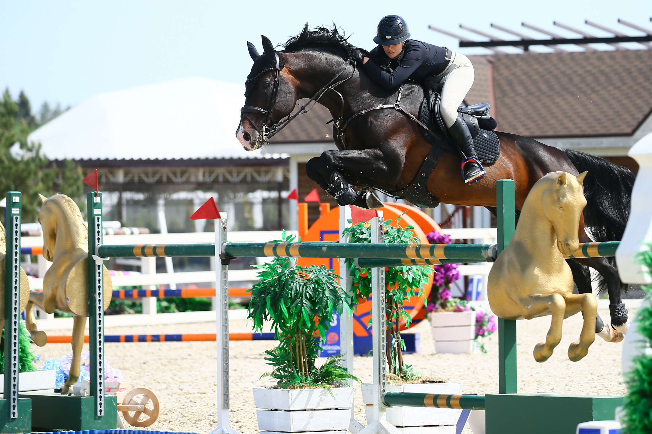 Купить фотографии с турниров. KatymartArt — Equine photography