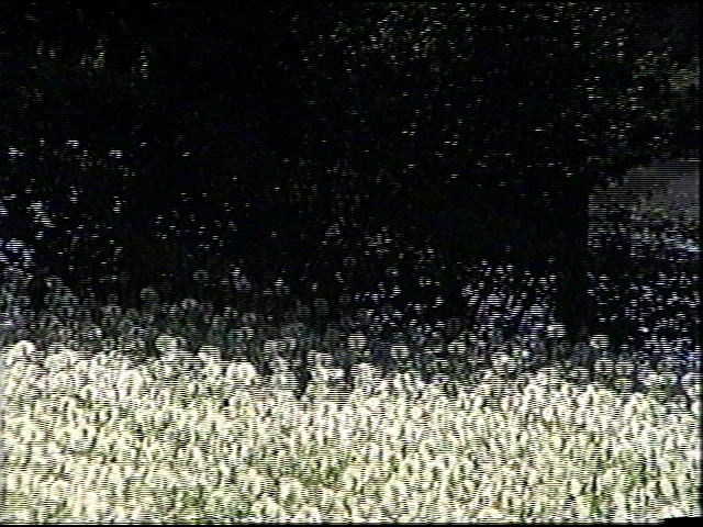 Интервью с фотографом, Денисом Шулеповым. Василий Пиндюрин — визуальный художник и портретный фотограф в Санкт-Петербурге