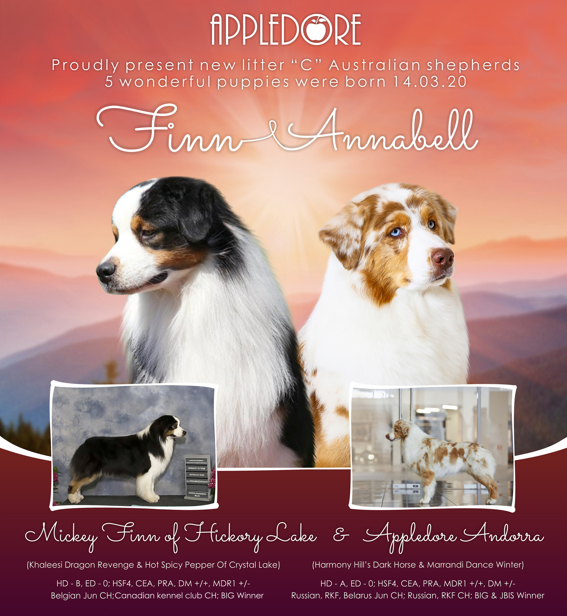 ПОМЕТ C. APPLEDORE